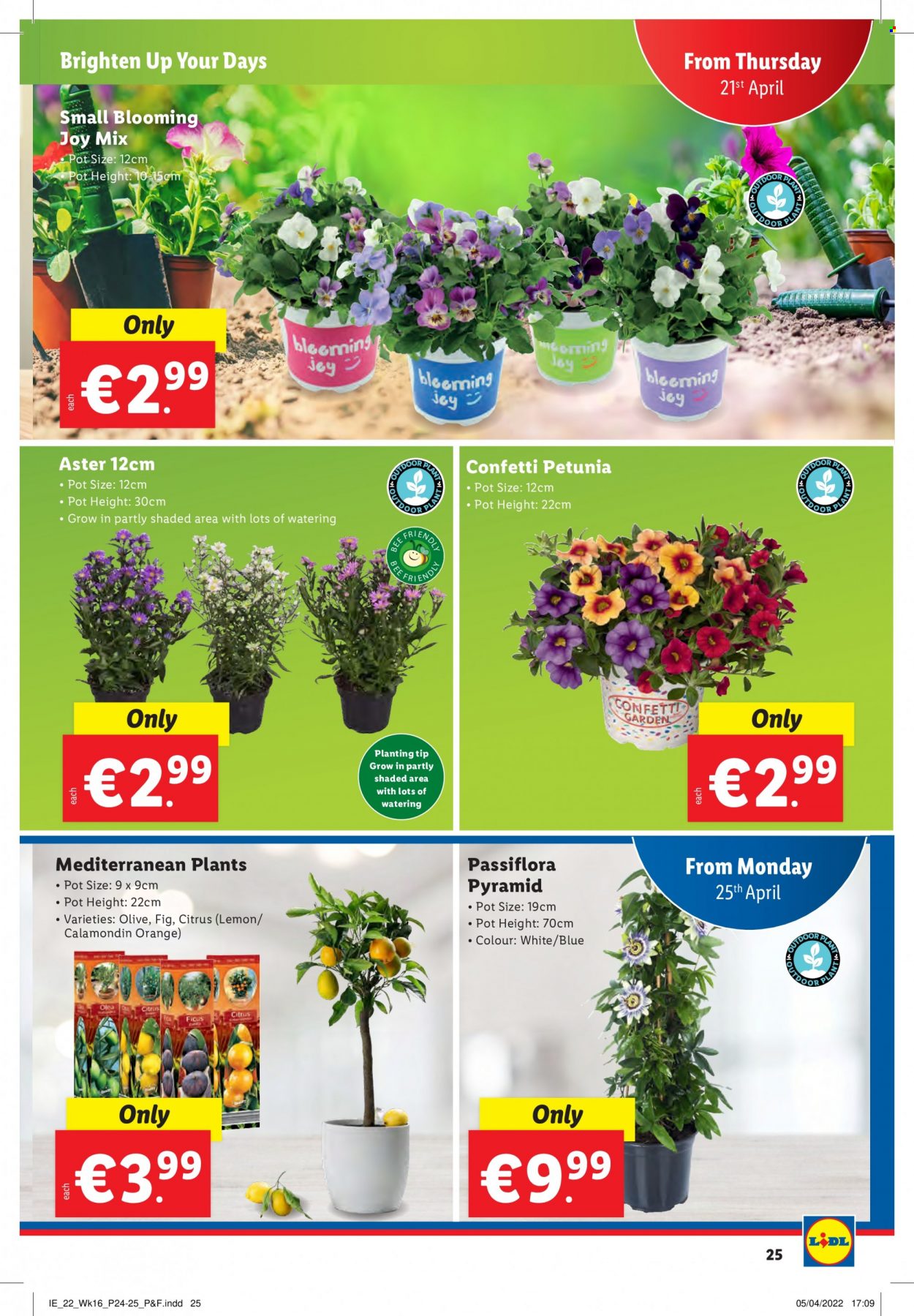 Lidl offer - 21.04.2022 - 27.04.2022. Page 25