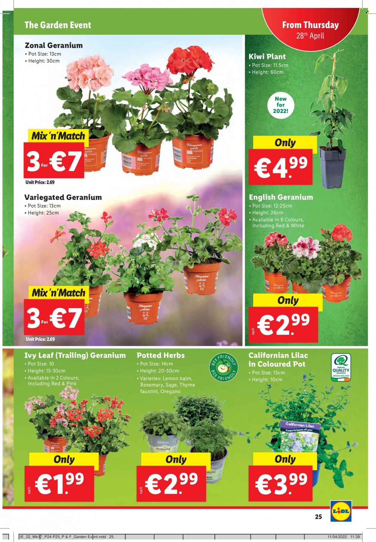 Lidl offer - 28.04.2022 - 04.05.2022. Page 25