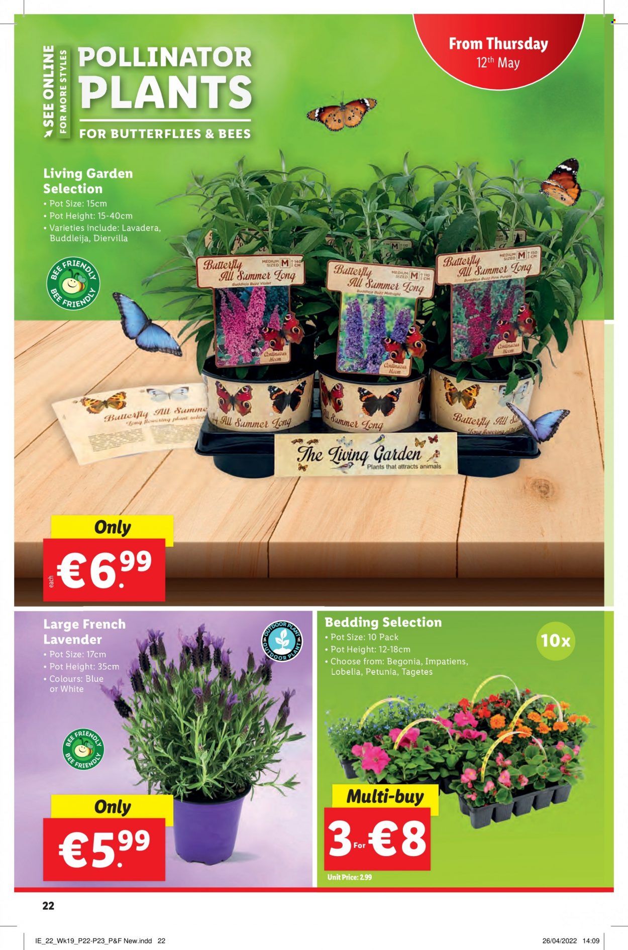 Lidl offer - 12.05.2022 - 18.05.2022. Page 22
