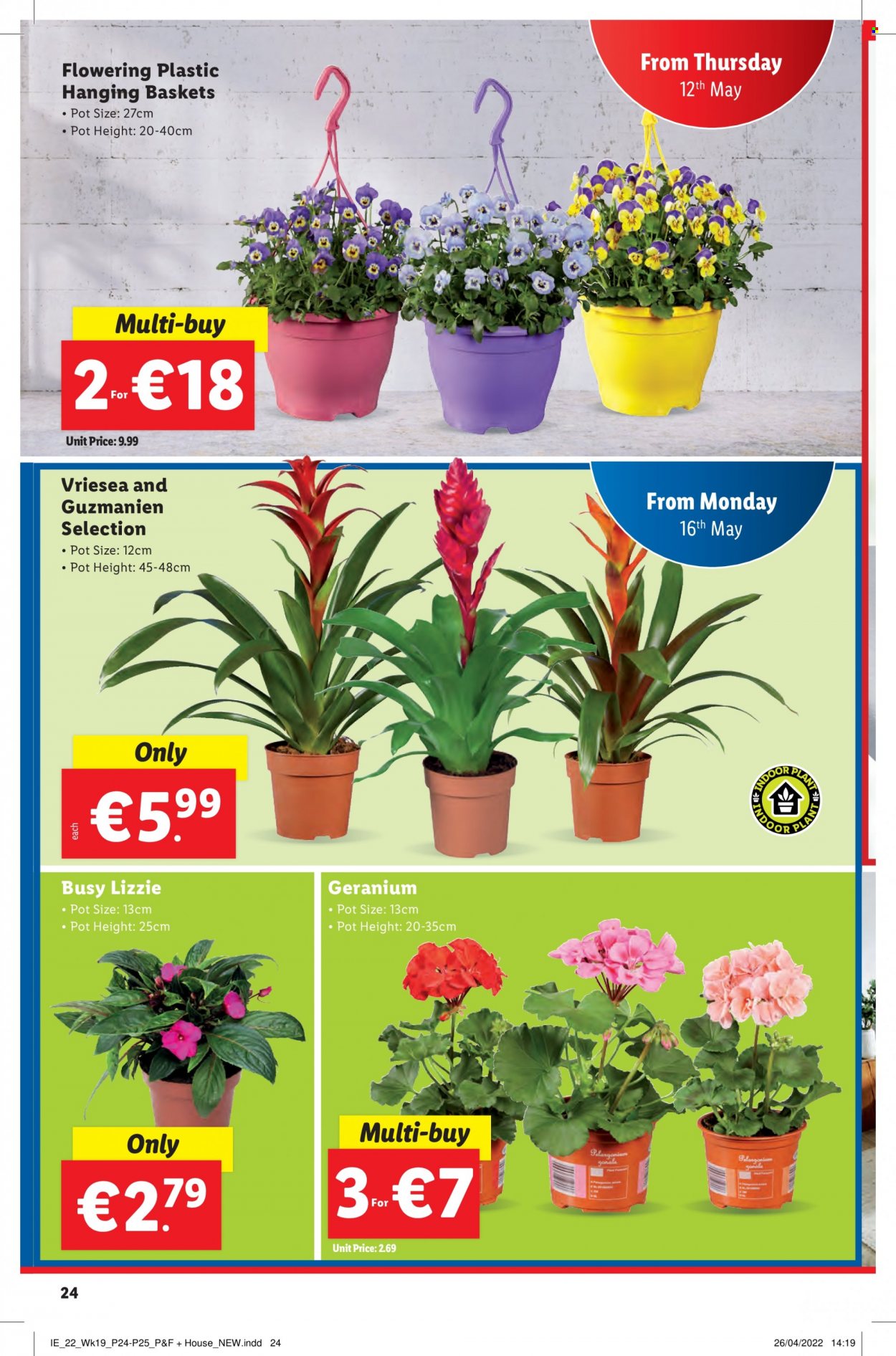 Lidl offer - 12.05.2022 - 18.05.2022. Page 24