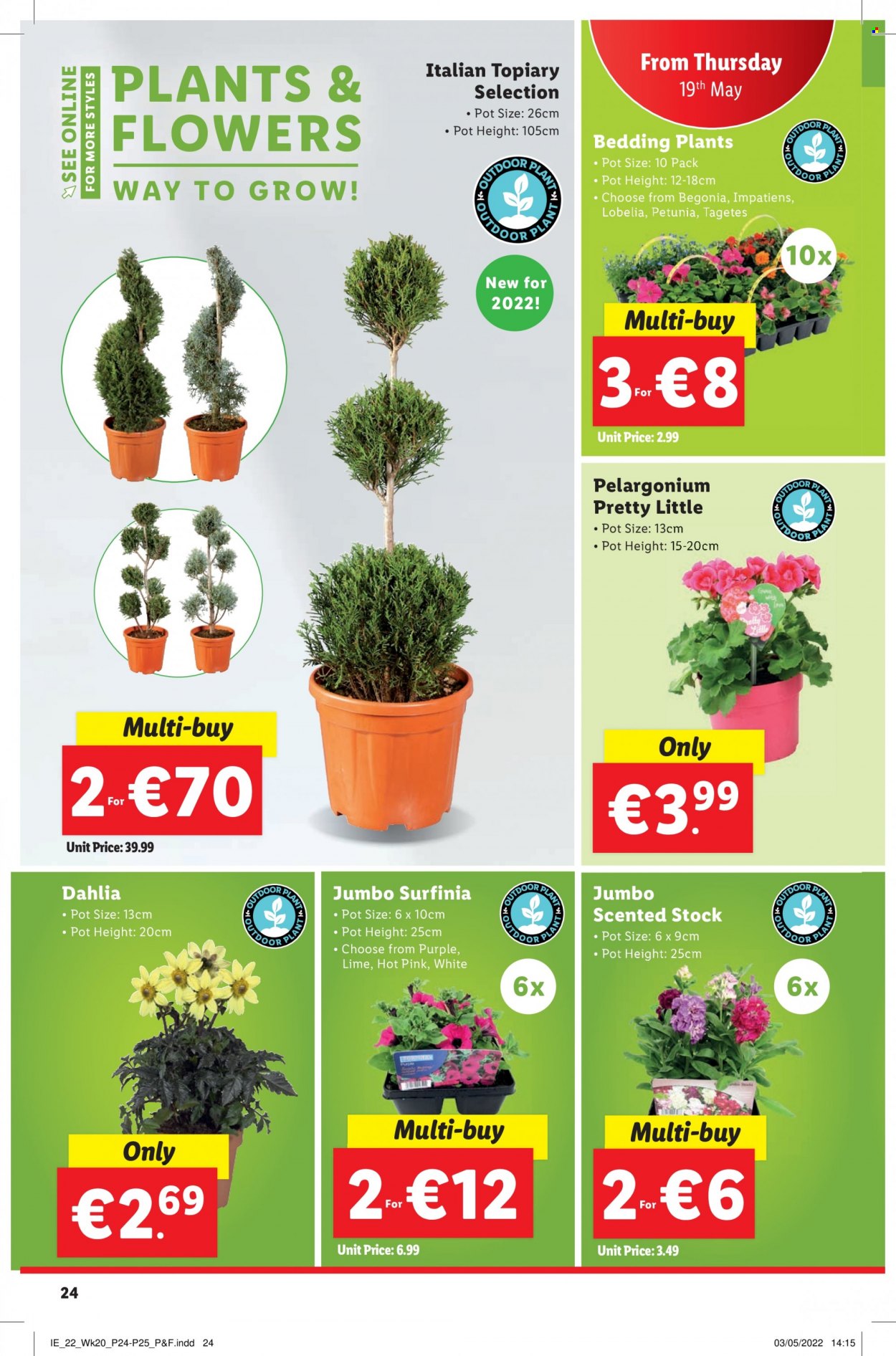 Lidl offer - 19.05.2022 - 25.05.2022. Page 24
