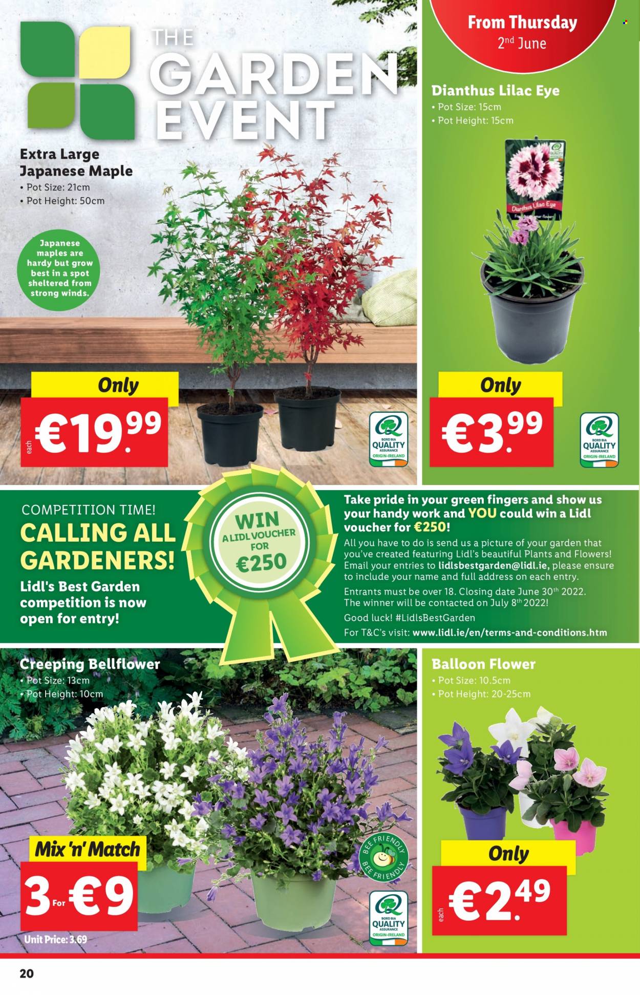 Lidl offer - 02.06.2022 - 08.06.2022. Page 20
