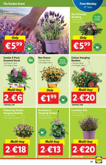Lidl offer  - 02.06.2022 - 08.06.2022.