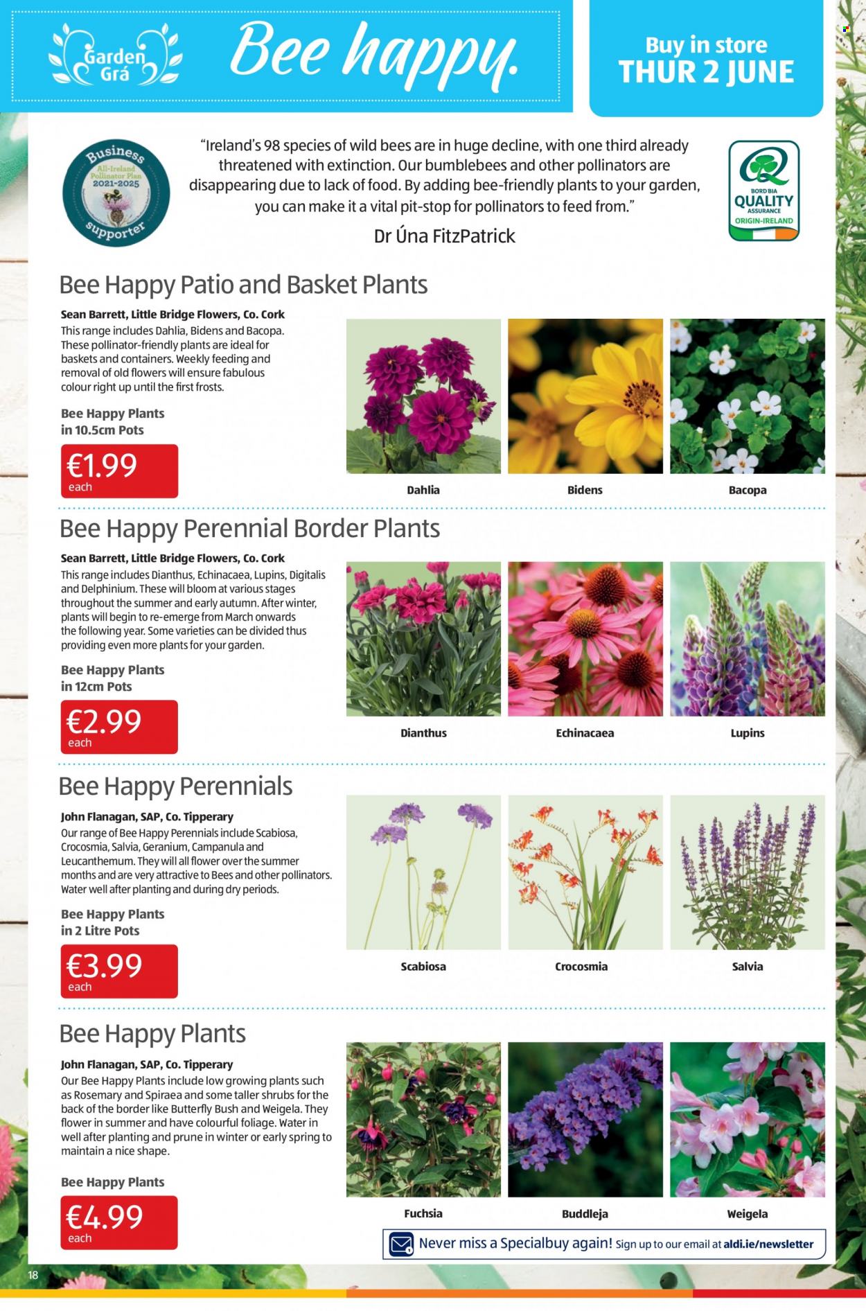 Aldi offer - 02.06.2022 - 08.06.2022. Page 18