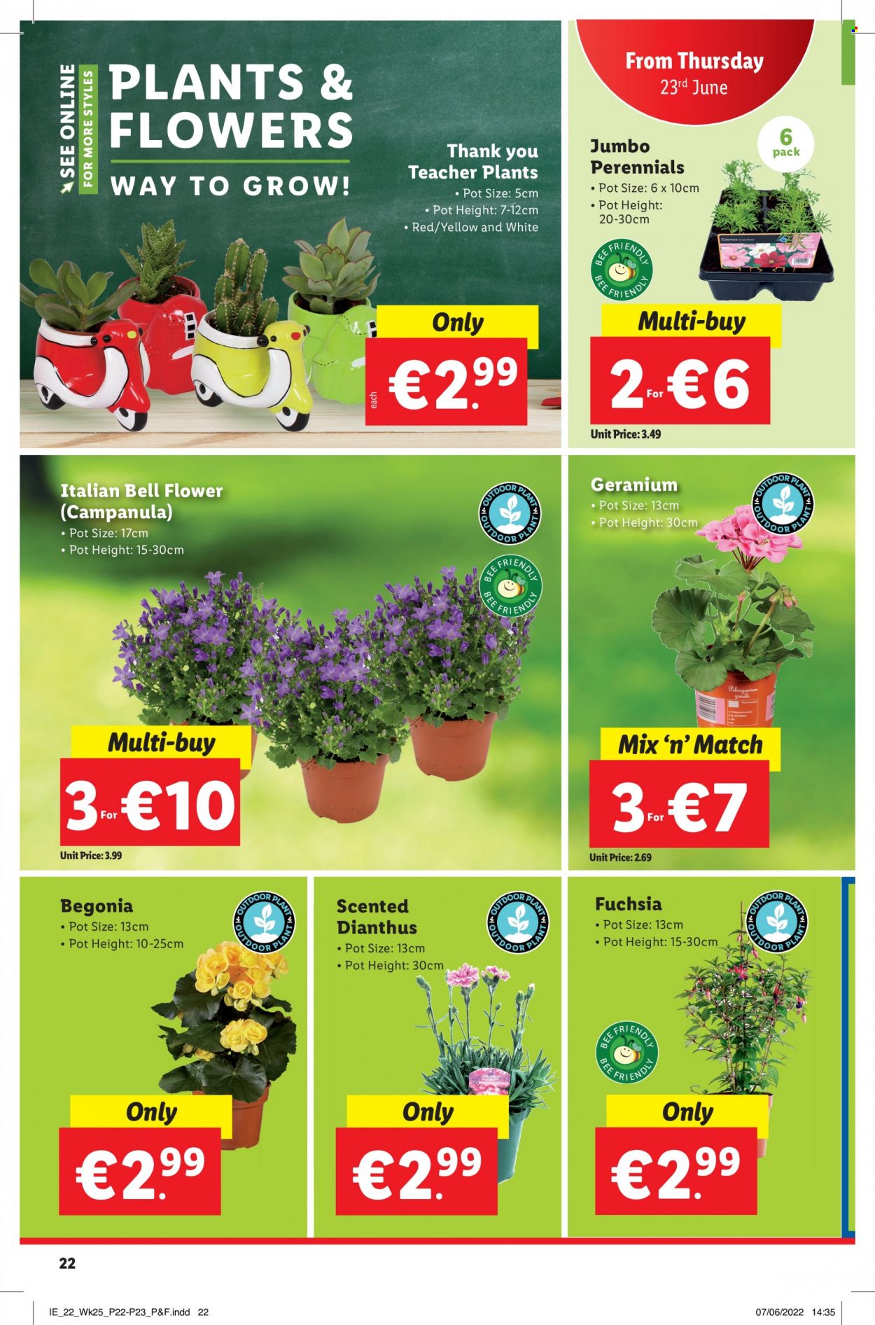 Lidl offer - 23.06.2022 - 29.06.2022. Page 22