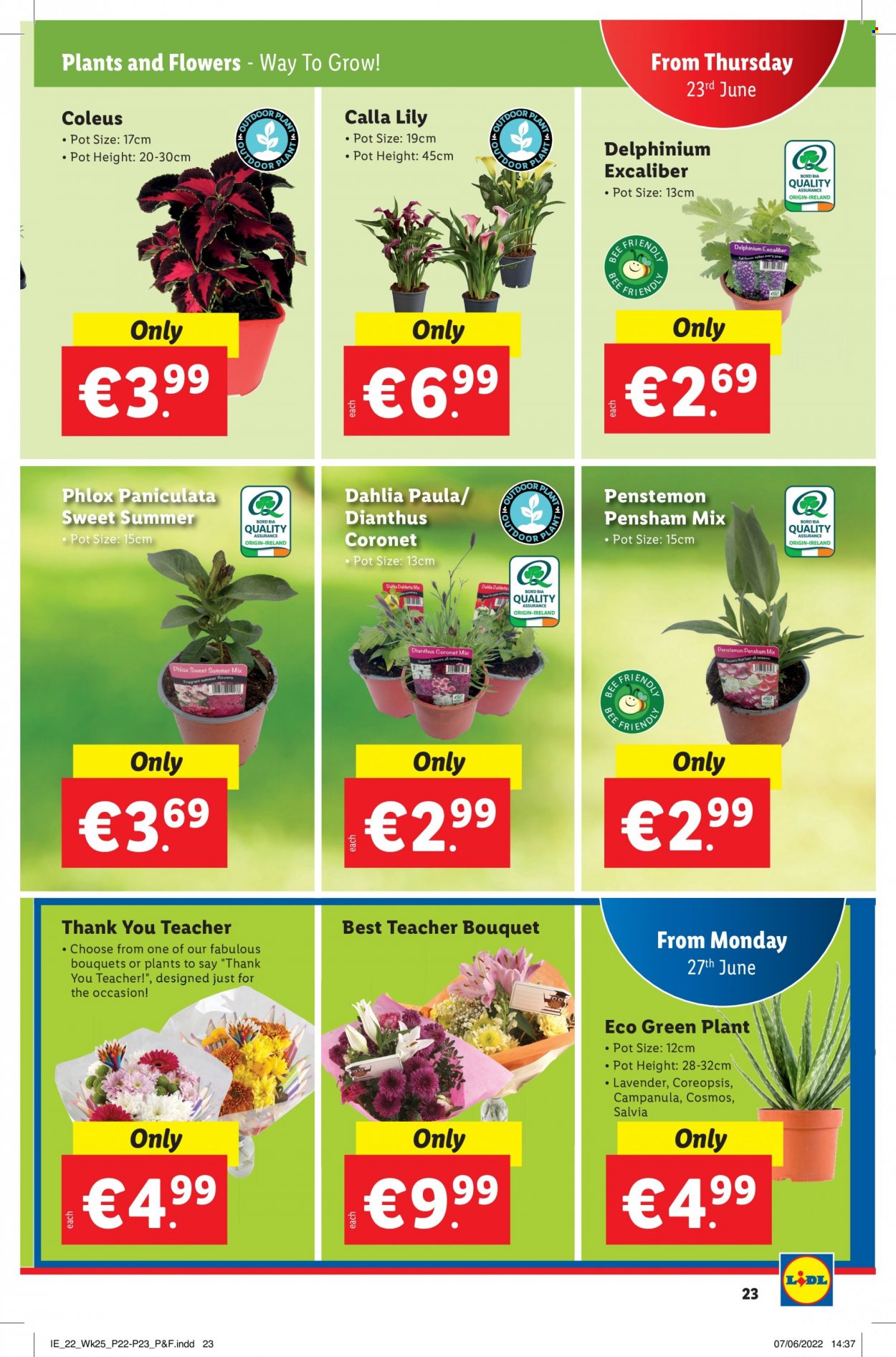 Lidl offer - 23.06.2022 - 29.06.2022. Page 23