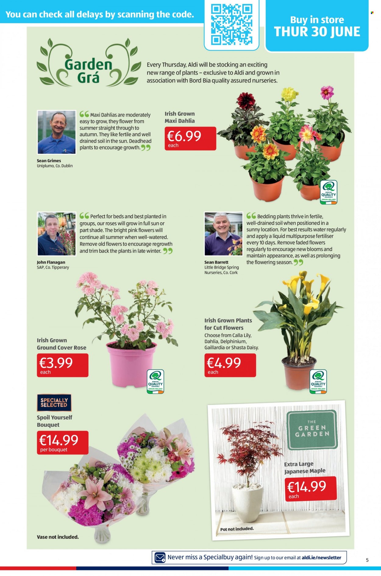 Aldi offer - 30.06.2022 - 06.07.2022. Page 5