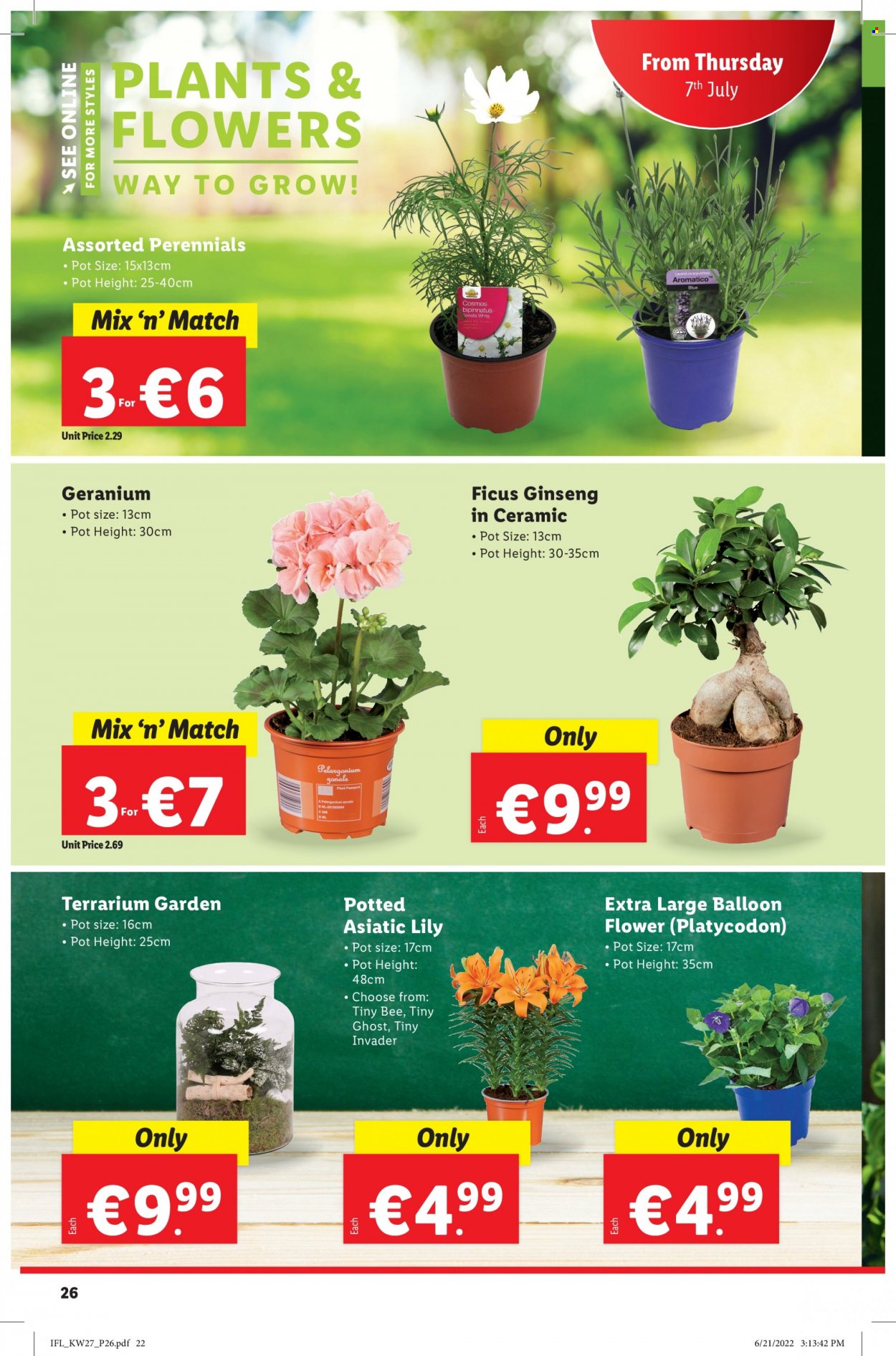 Lidl offer - 07.07.2022 - 13.07.2022. Page 26