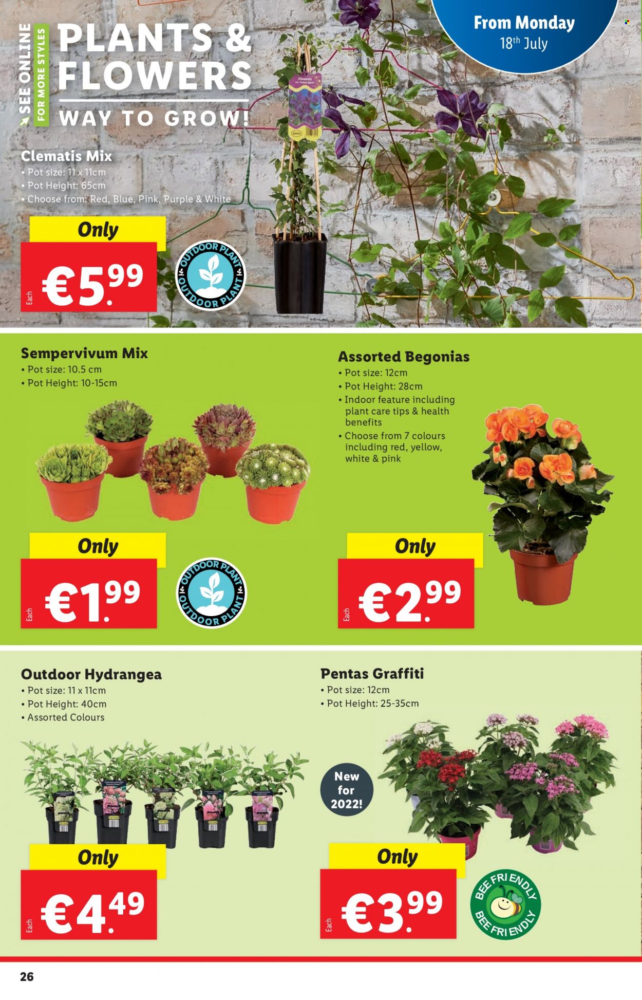 Lidl offer - 14.07.2022 - 20.07.2022. Page 26