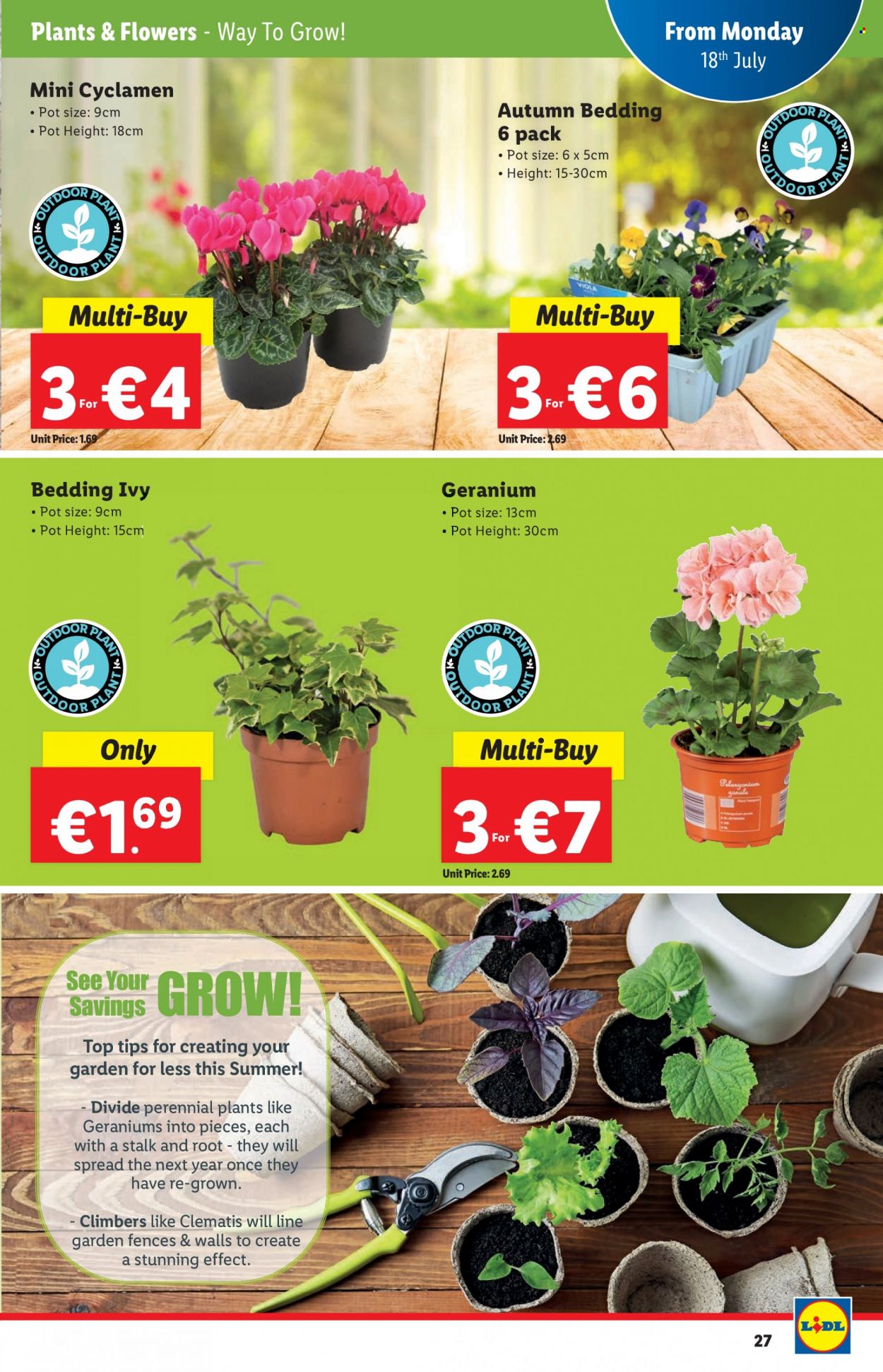 Lidl offer - 14.07.2022 - 20.07.2022. Page 27