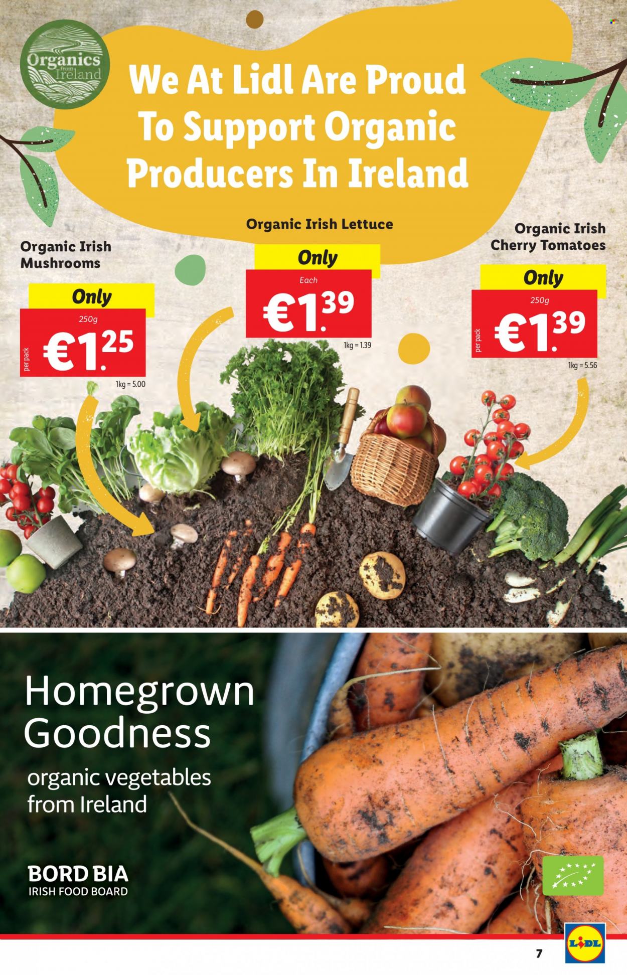 Lidl offer - 01.09.2022 - 07.09.2022. Page 7