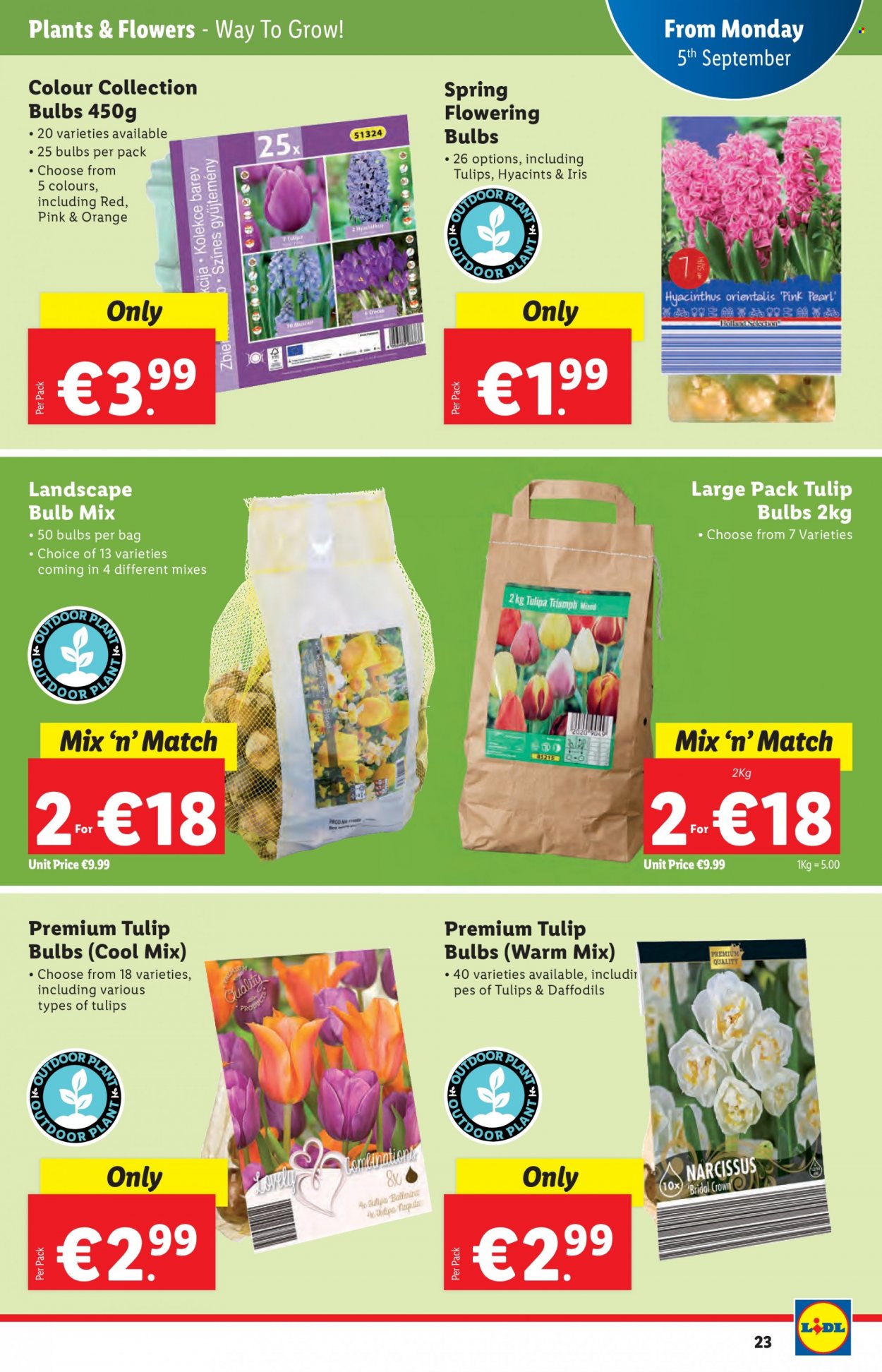 Lidl offer - 01.09.2022 - 07.09.2022. Page 23