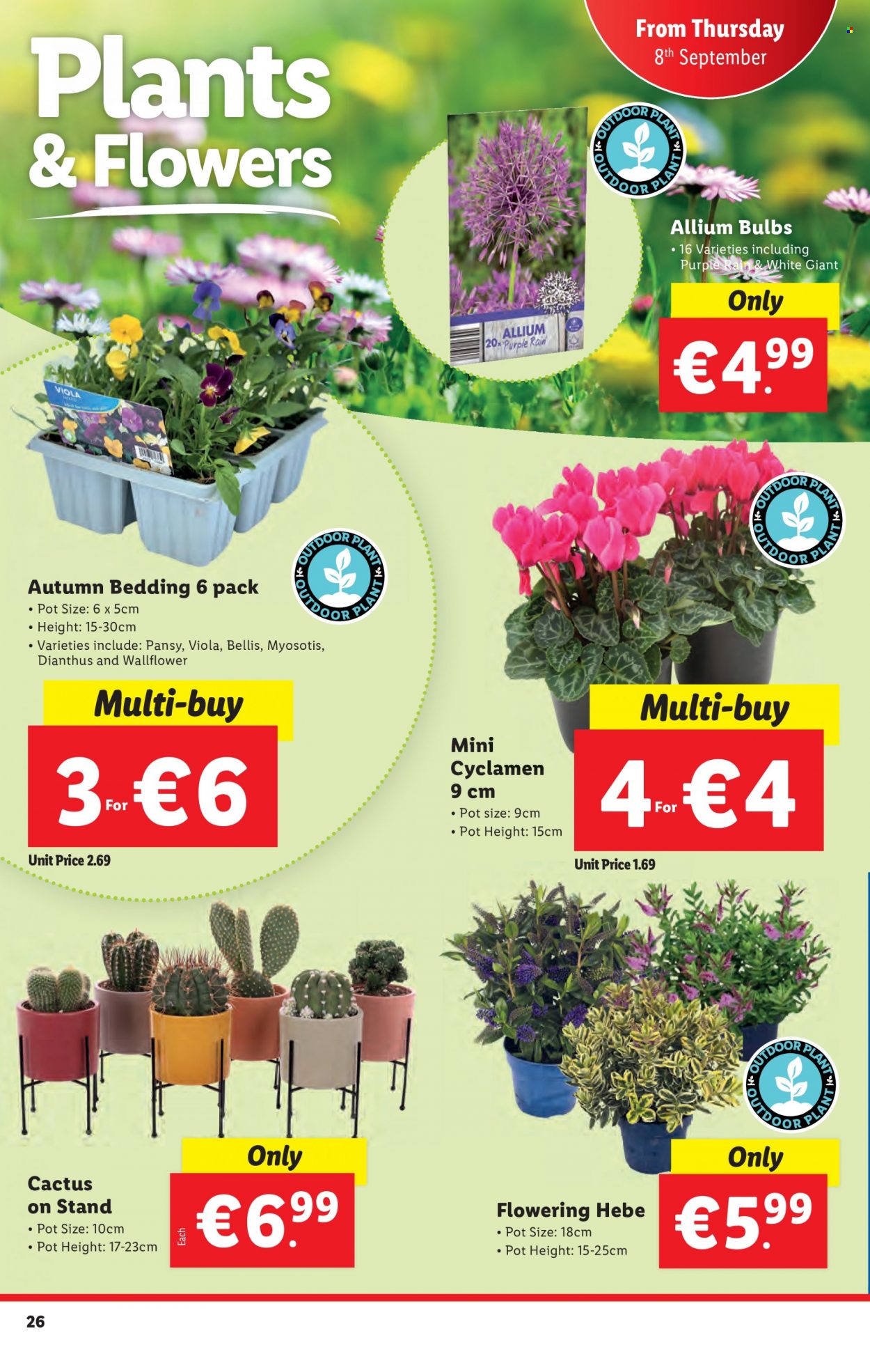 Lidl offer - 08.09.2022 - 14.09.2022. Page 26