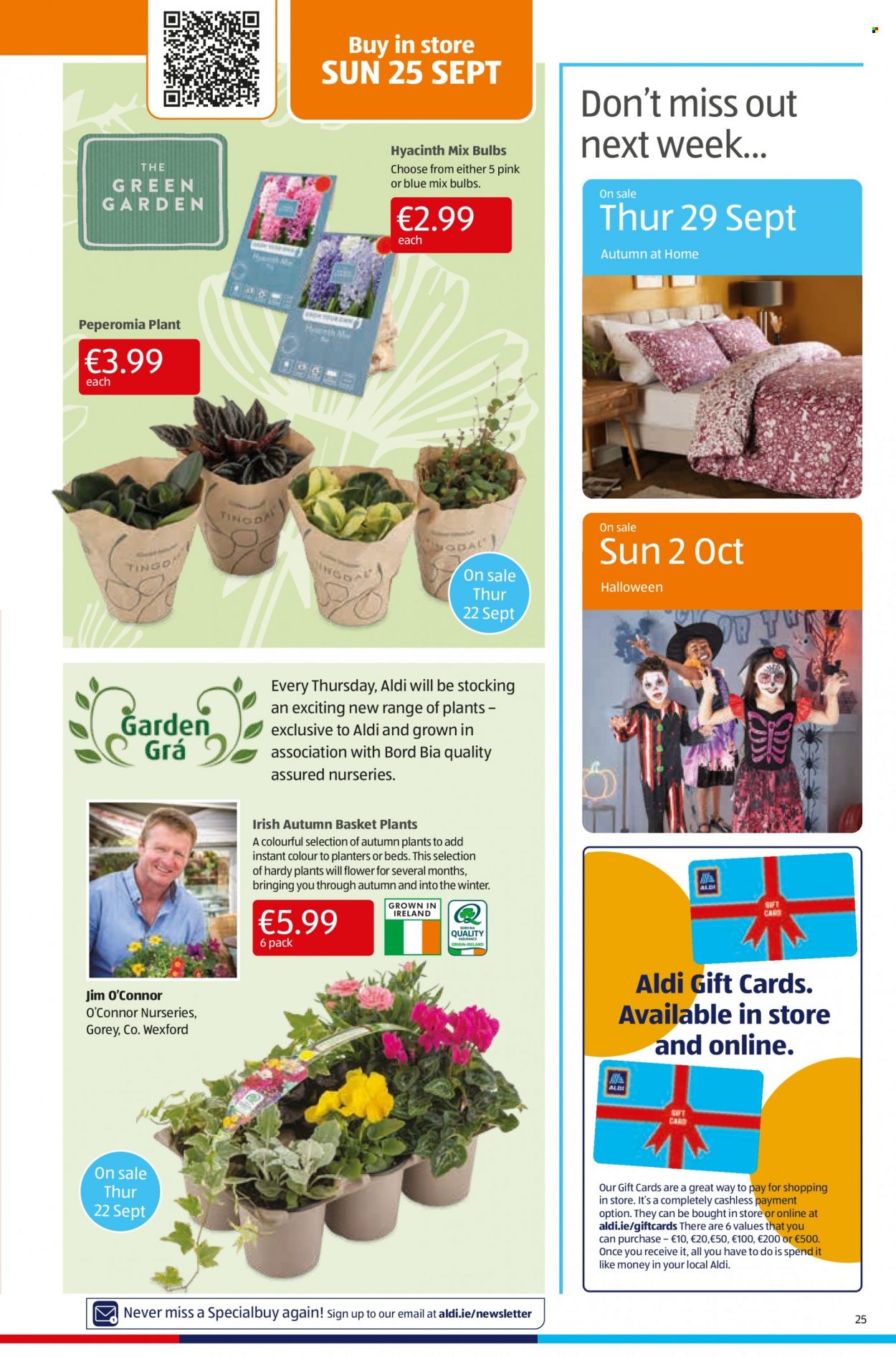 thumbnail - Aldi offer  - 22.09.2022 - 28.09.2022 - Sales products - Planters, basket, bulb, Halloween. Page 25.