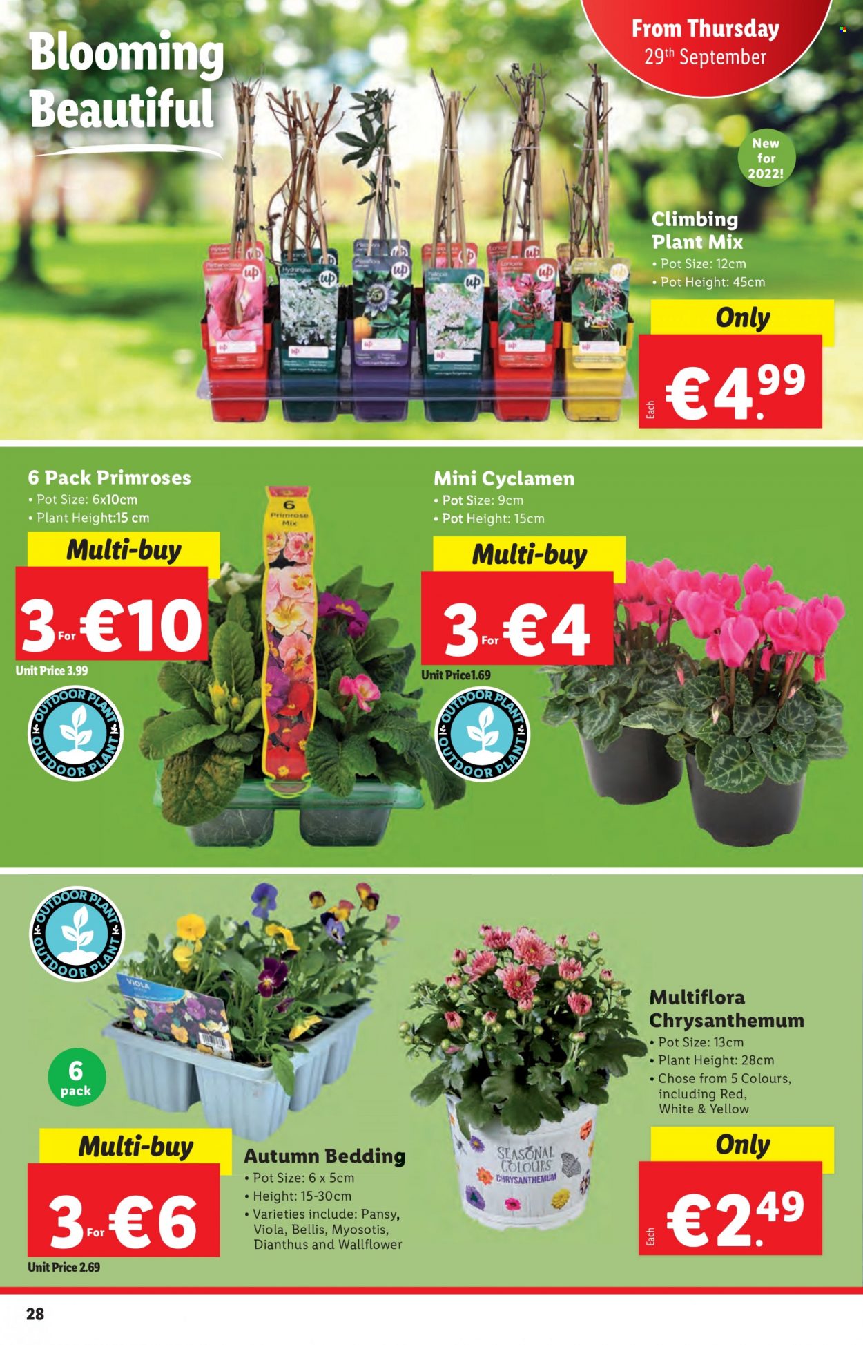 Lidl offer - 29.09.2022 - 05.10.2022. Page 28