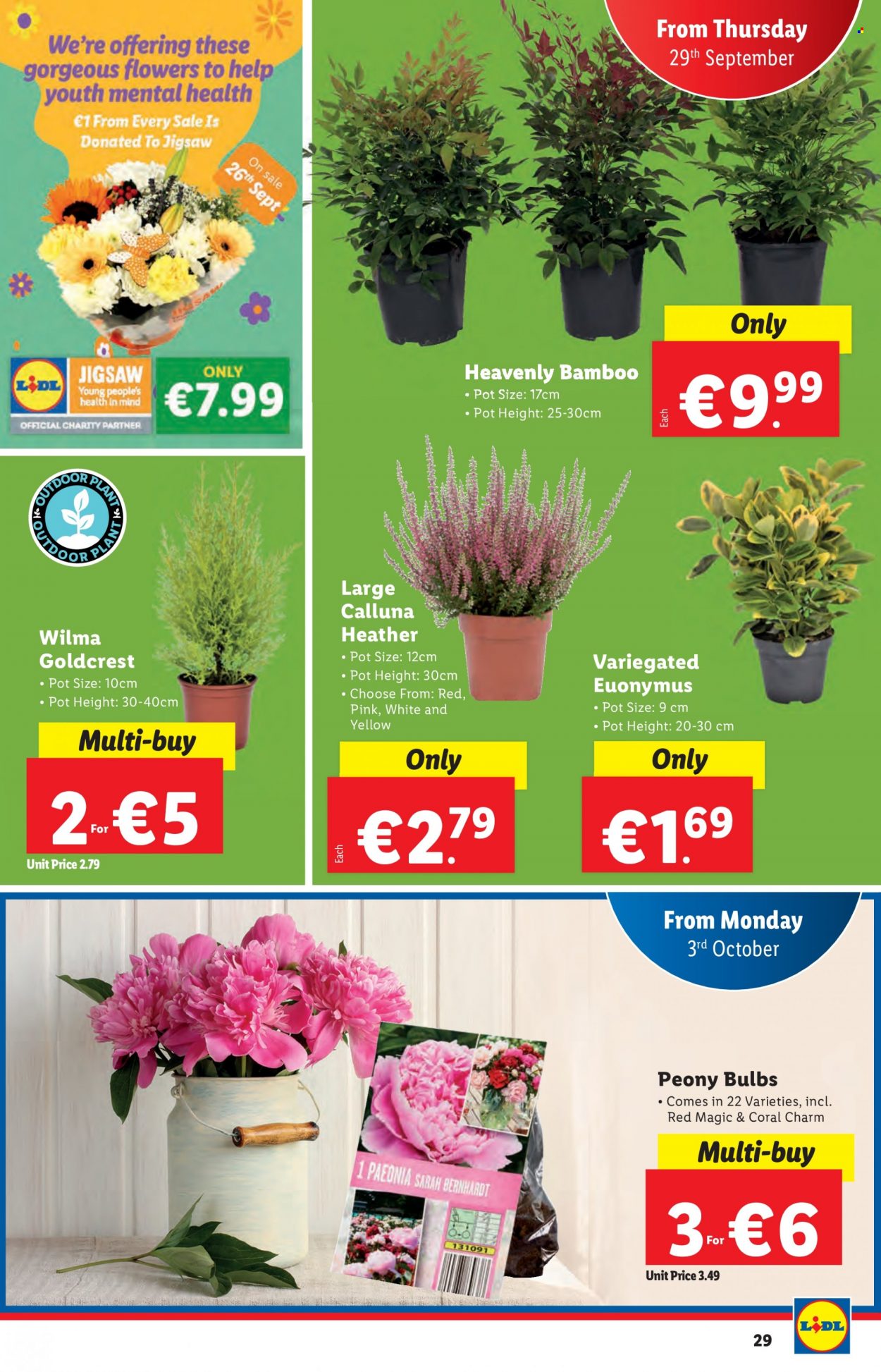thumbnail - Lidl offer  - 29.09.2022 - 05.10.2022 - Sales products - pot, bulb. Page 29.