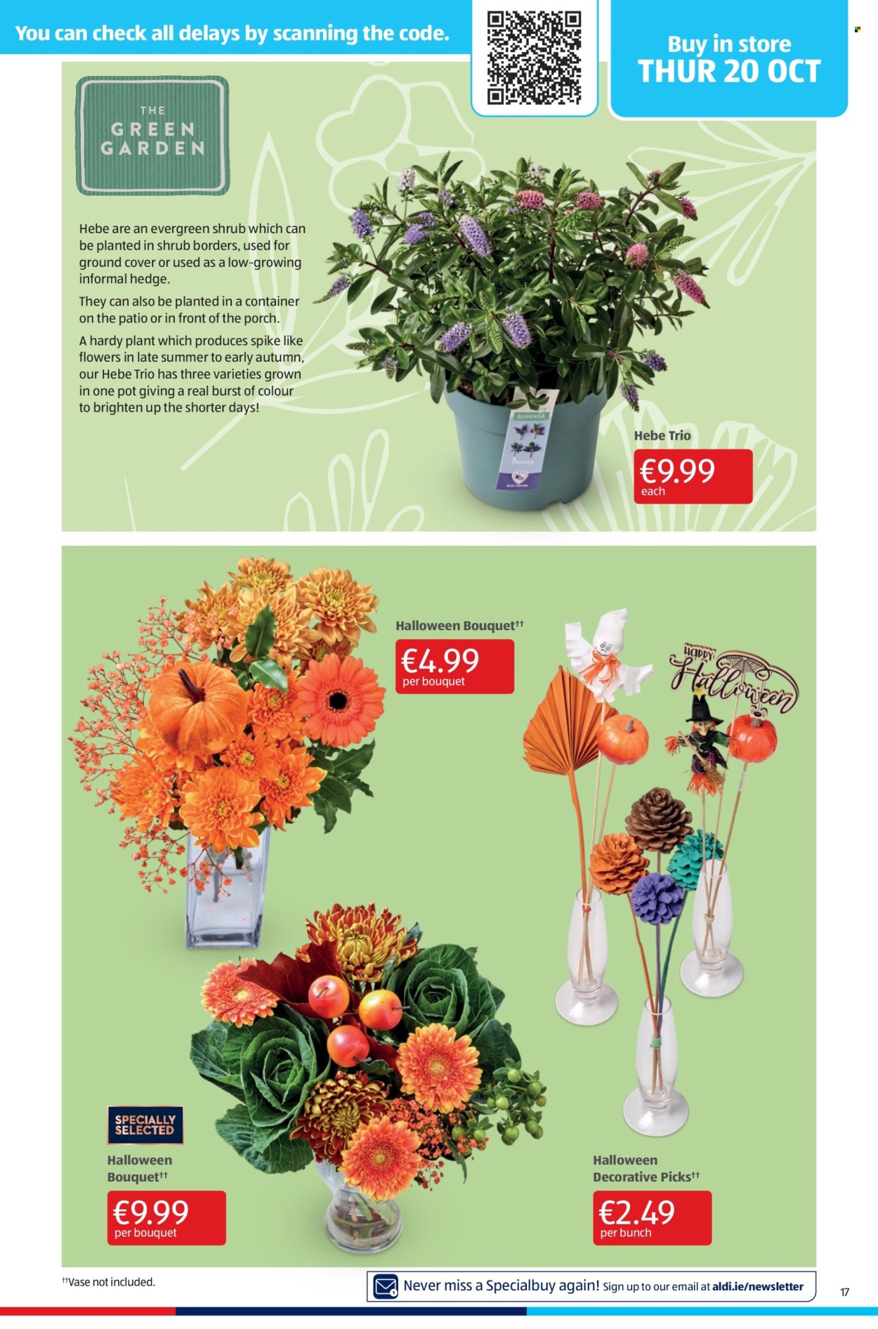 Aldi offer - 20.10.2022 - 26.10.2022. Page 17
