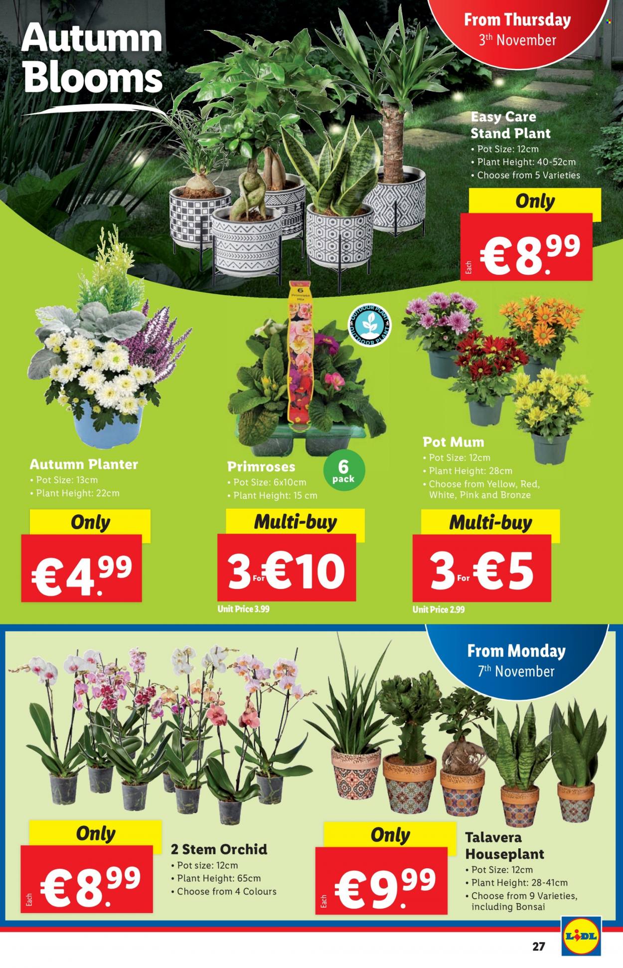 Lidl offer - 03.11.2022 - 09.11.2022. Page 27