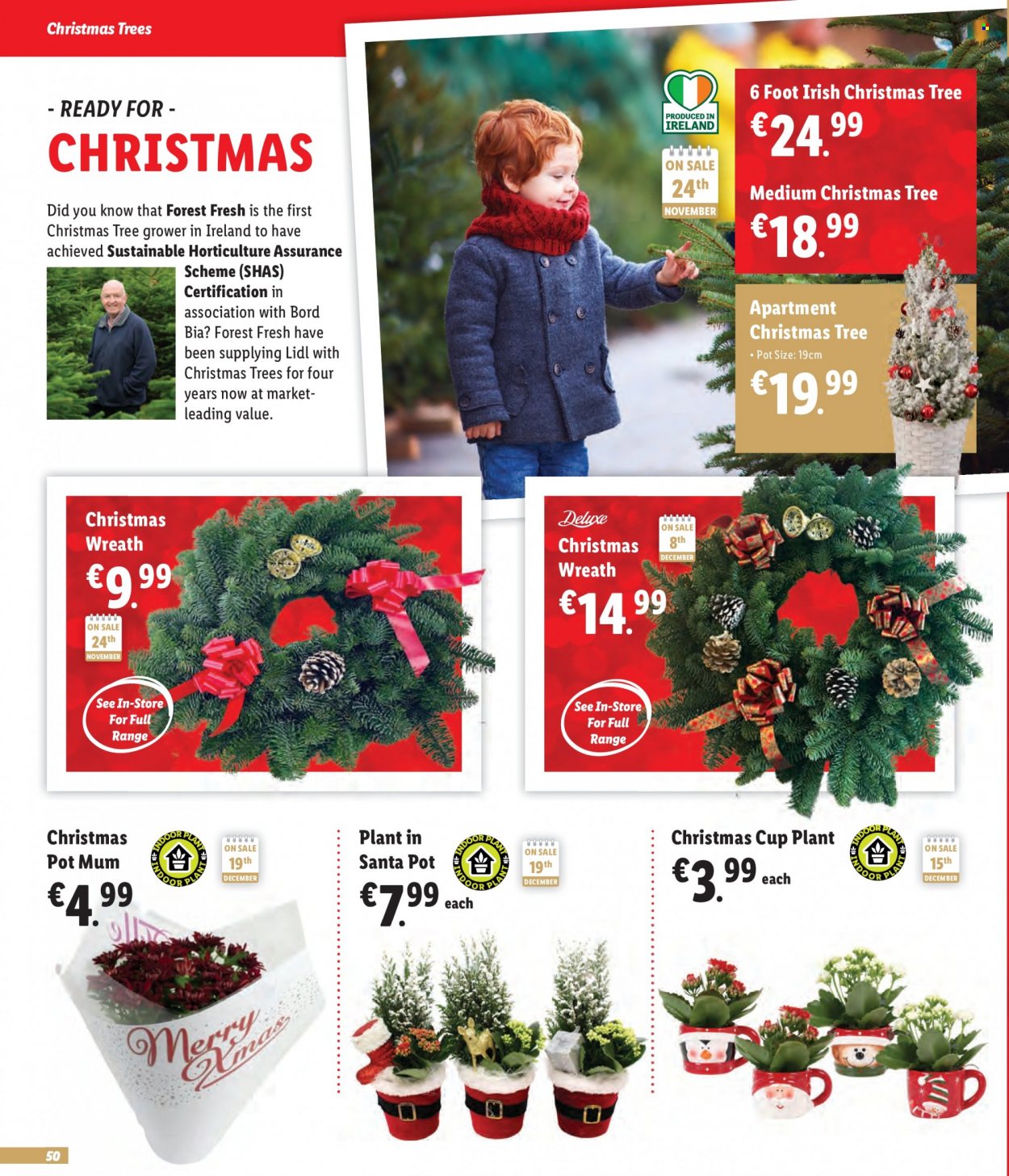 Lidl offer. Page 50