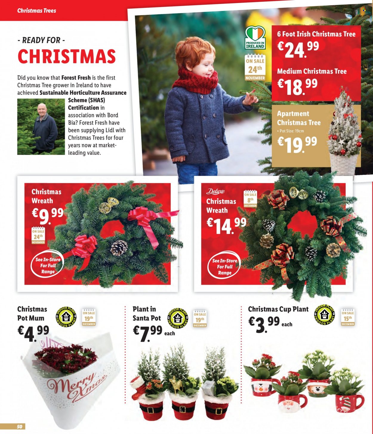 thumbnail - Lidl offer  - Sales products - wreath, christmas tree, Santa, Mum, pot, cup. Page 50.