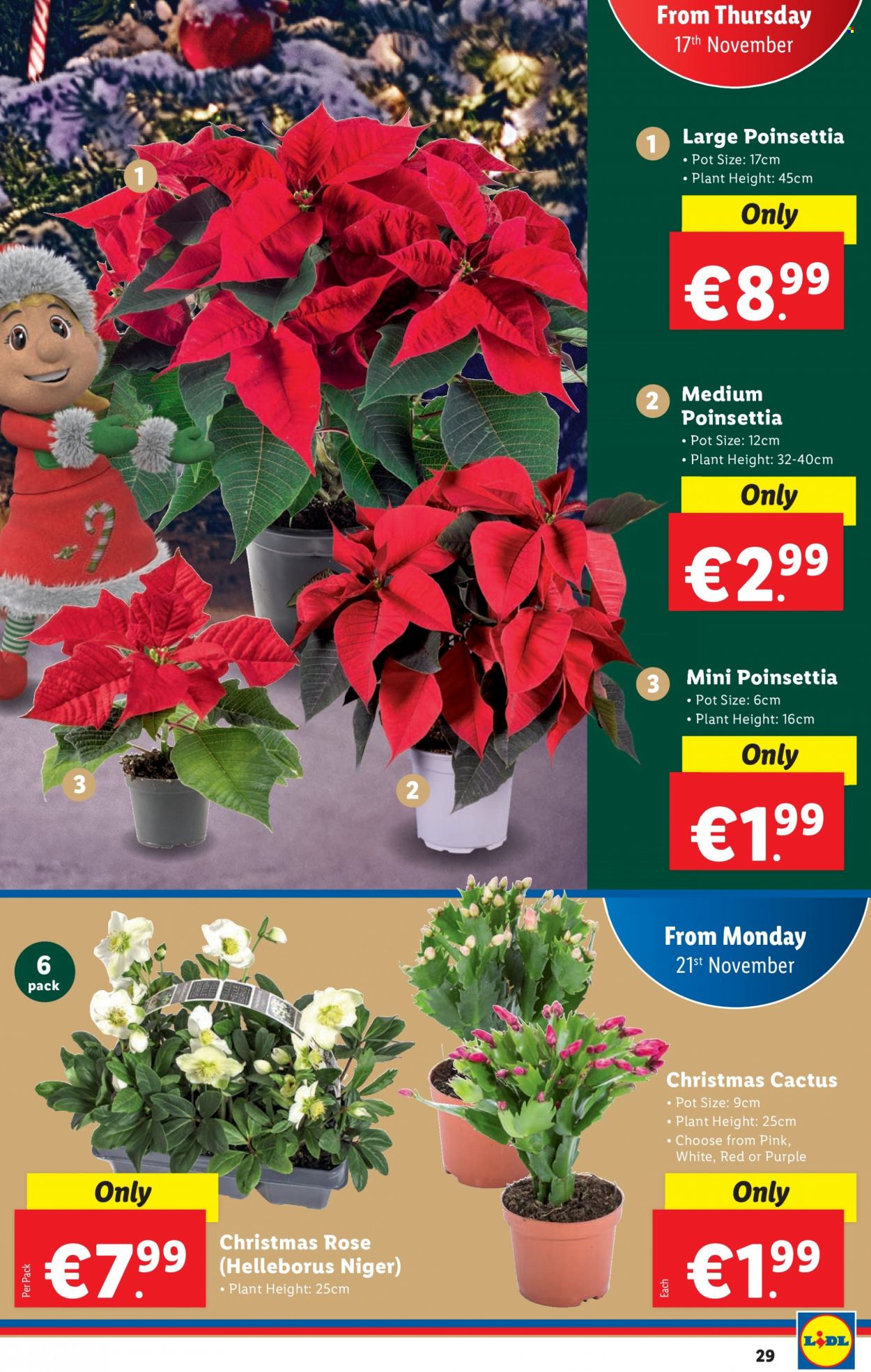 Lidl offer - 17.11.2022 - 23.11.2022. Page 29