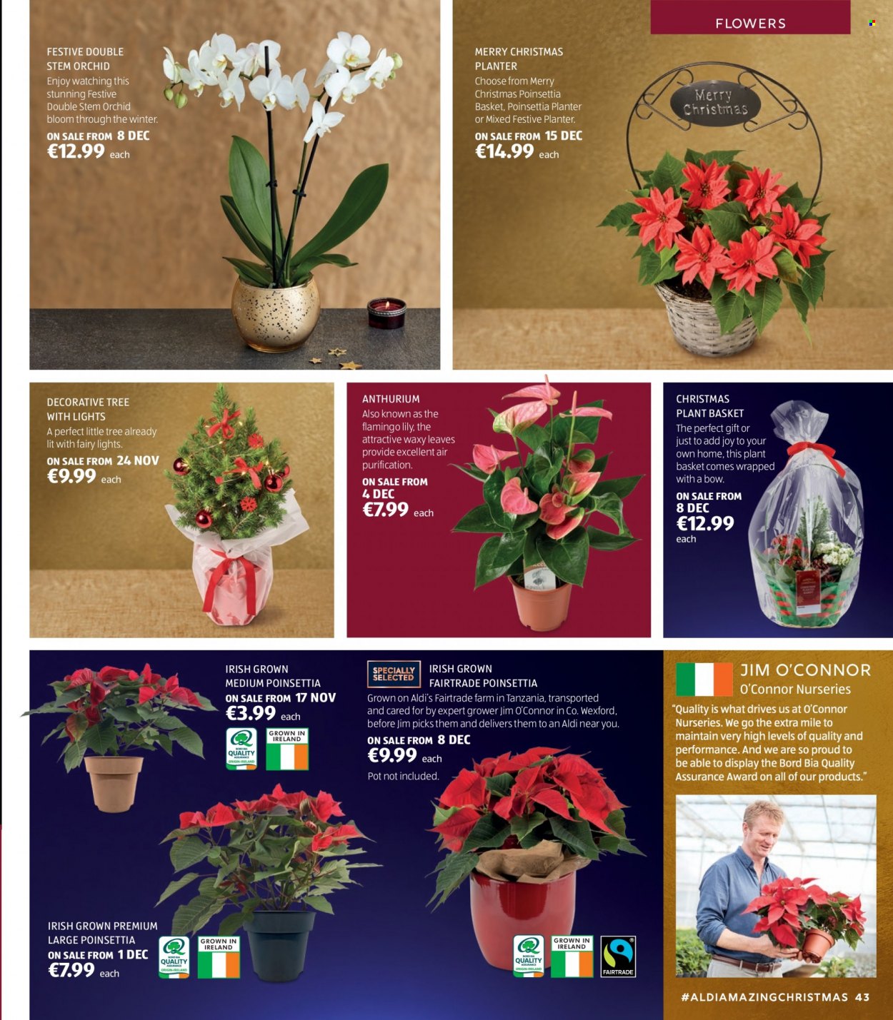 Aldi offer. Page 43