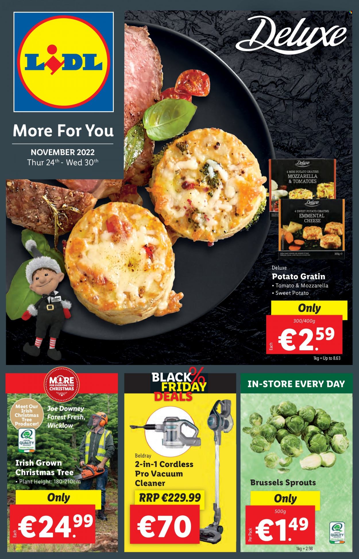 thumbnail - Lidl offer  - 24.11.2022 - 30.11.2022 - Sales products - christmas tree, sweet potato, tomatoes, brussel sprouts, mozzarella, cheese, vacuum cleaner. Page 1.