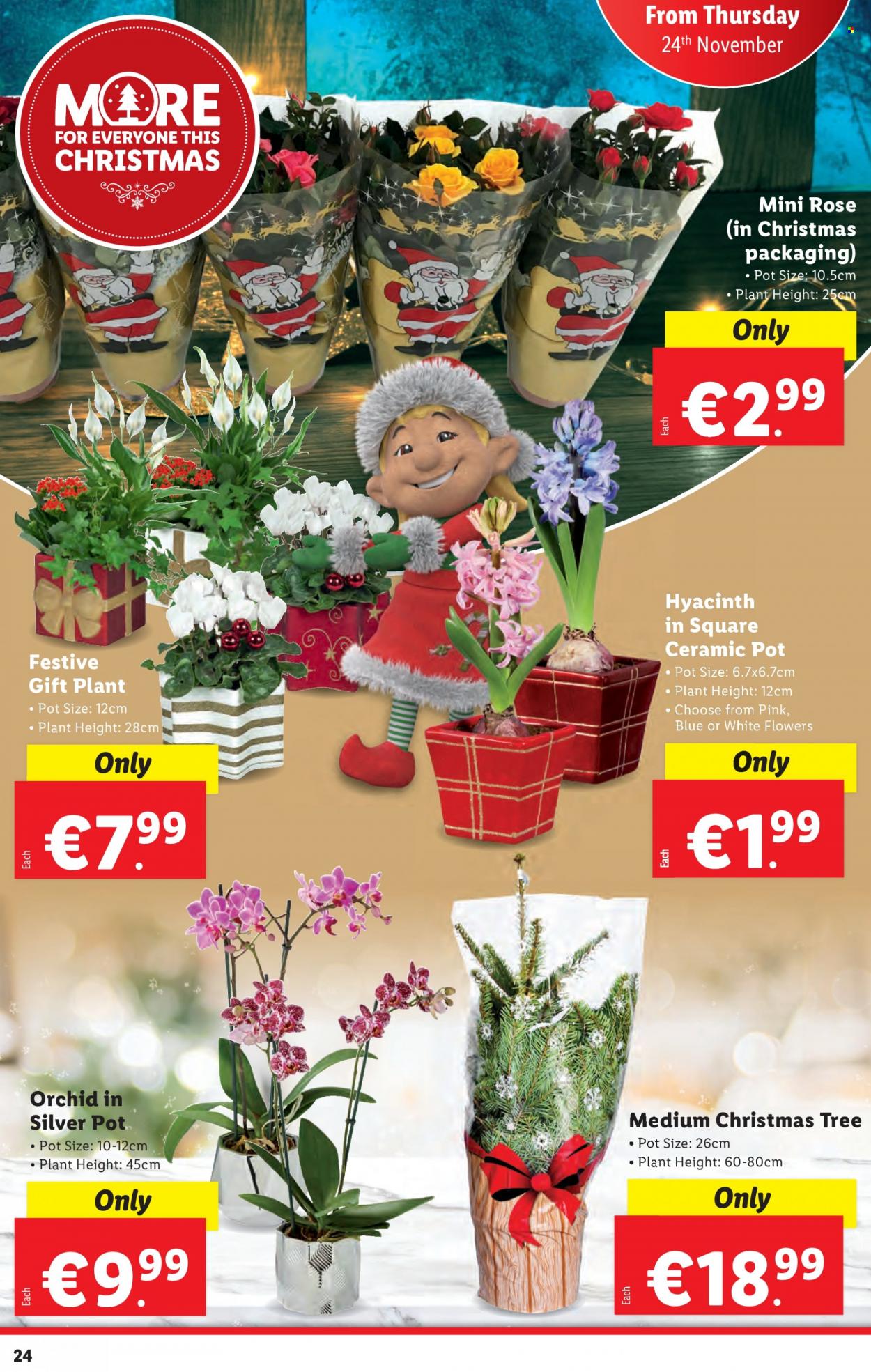 Lidl offer - 24.11.2022 - 30.11.2022. Page 24