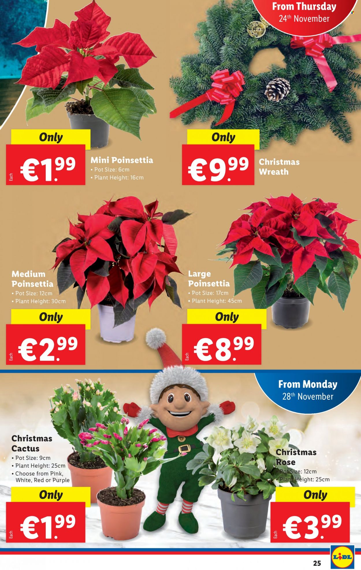 Lidl offer - 24.11.2022 - 30.11.2022. Page 25