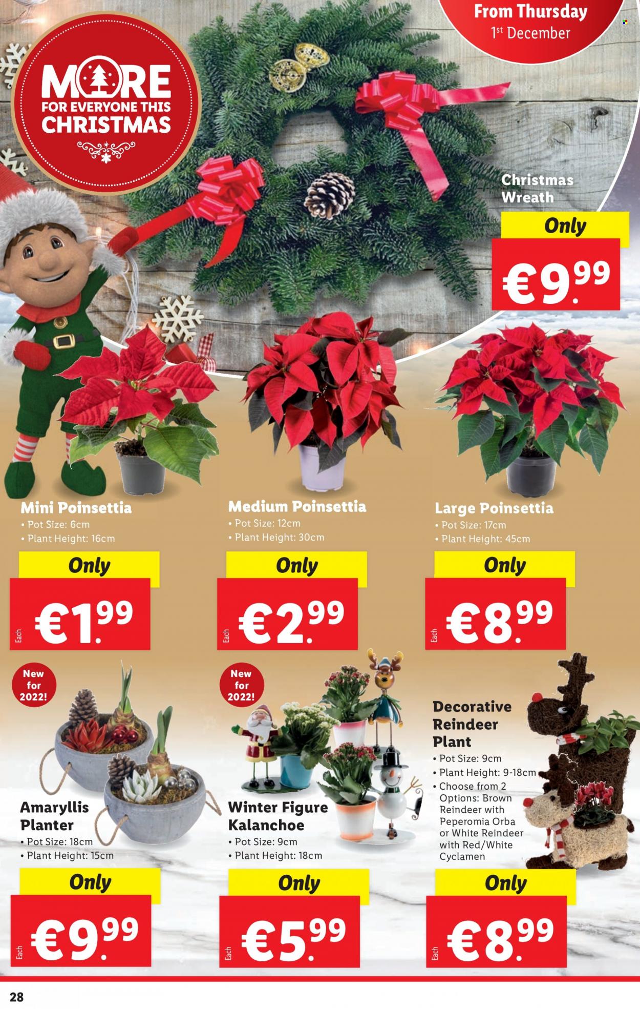 thumbnail - Lidl offer  - 01.12.2022 - 07.12.2022 - Sales products - reindeer, wreath, pot, poinsettia. Page 29.