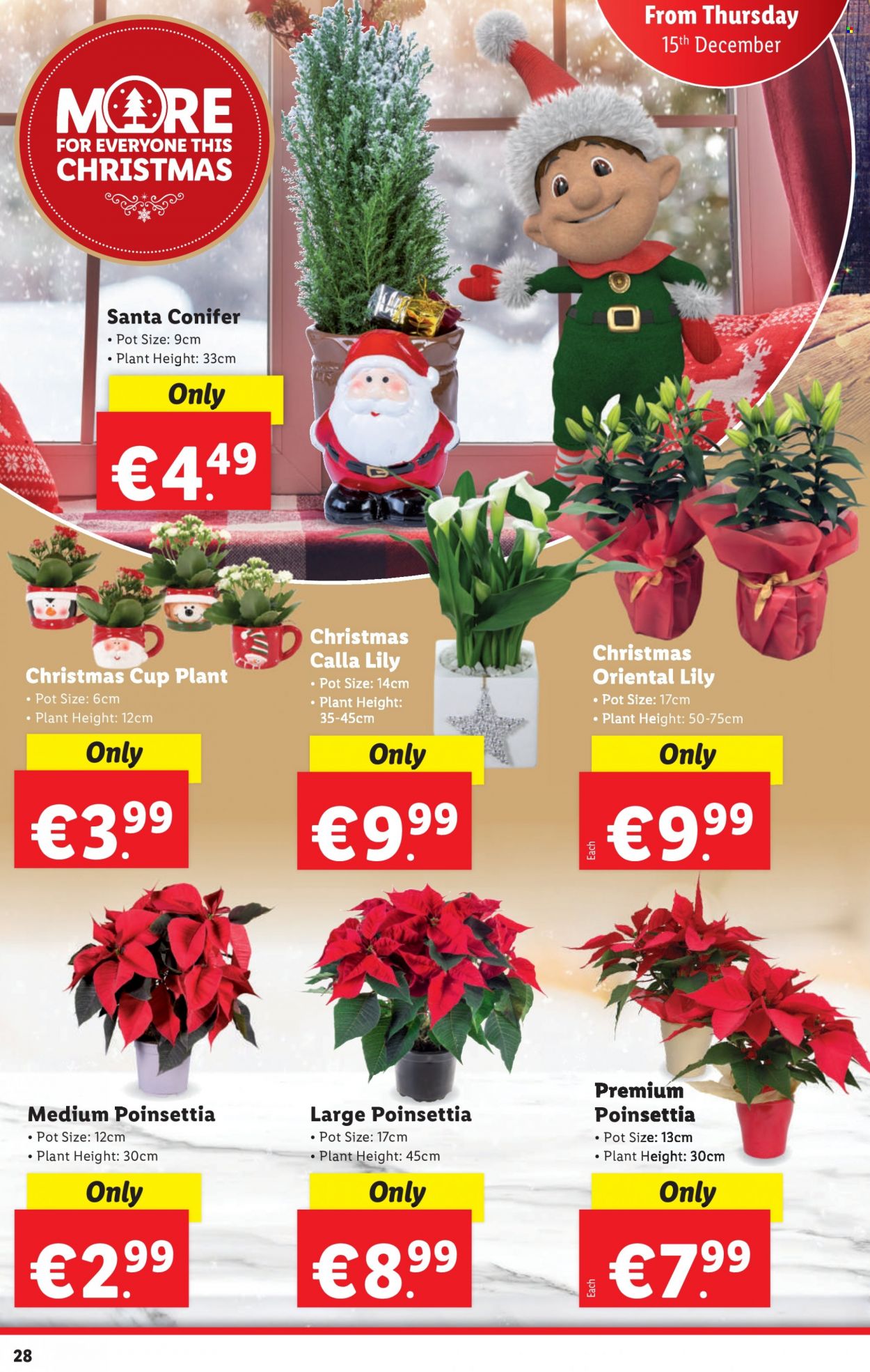 Lidl offer - 15.12.2022 - 24.12.2022. Page 28