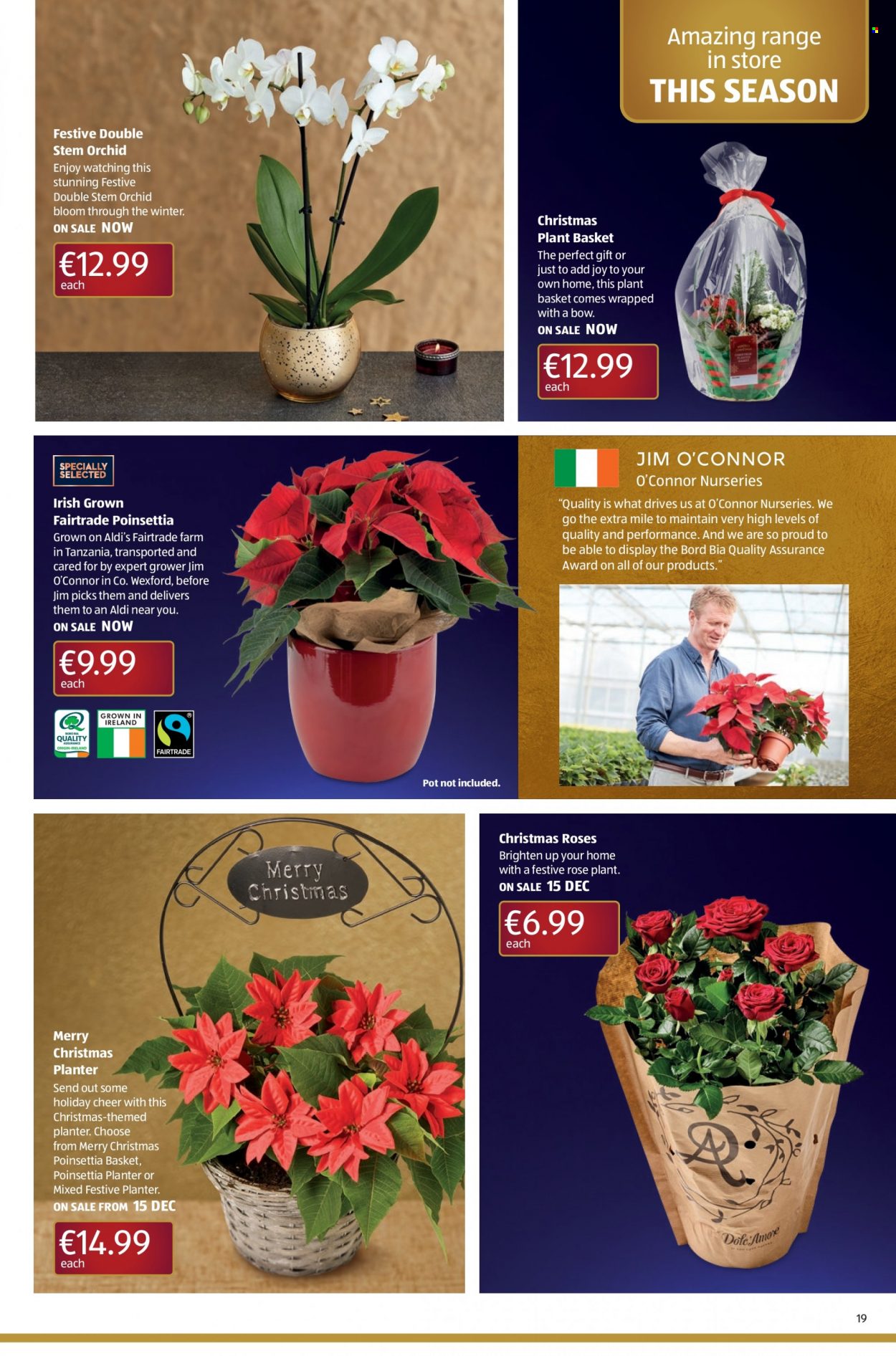 Aldi offer - 15.12.2022 - 24.12.2022. Page 19