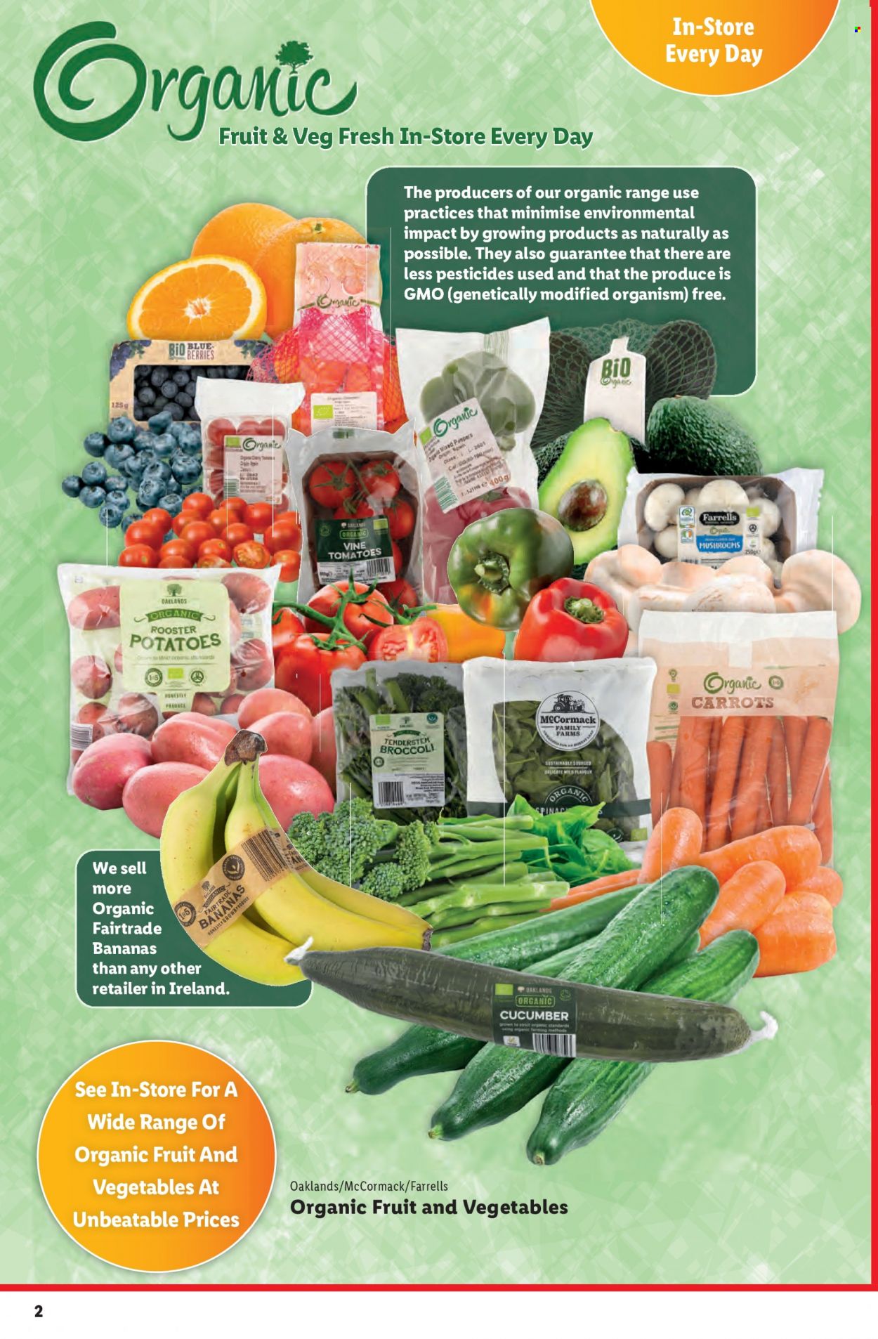 thumbnail - Lidl offer  - 26.01.2023 - 01.02.2023 - Sales products - broccoli, carrots, potatoes, peppers, bananas. Page 2.