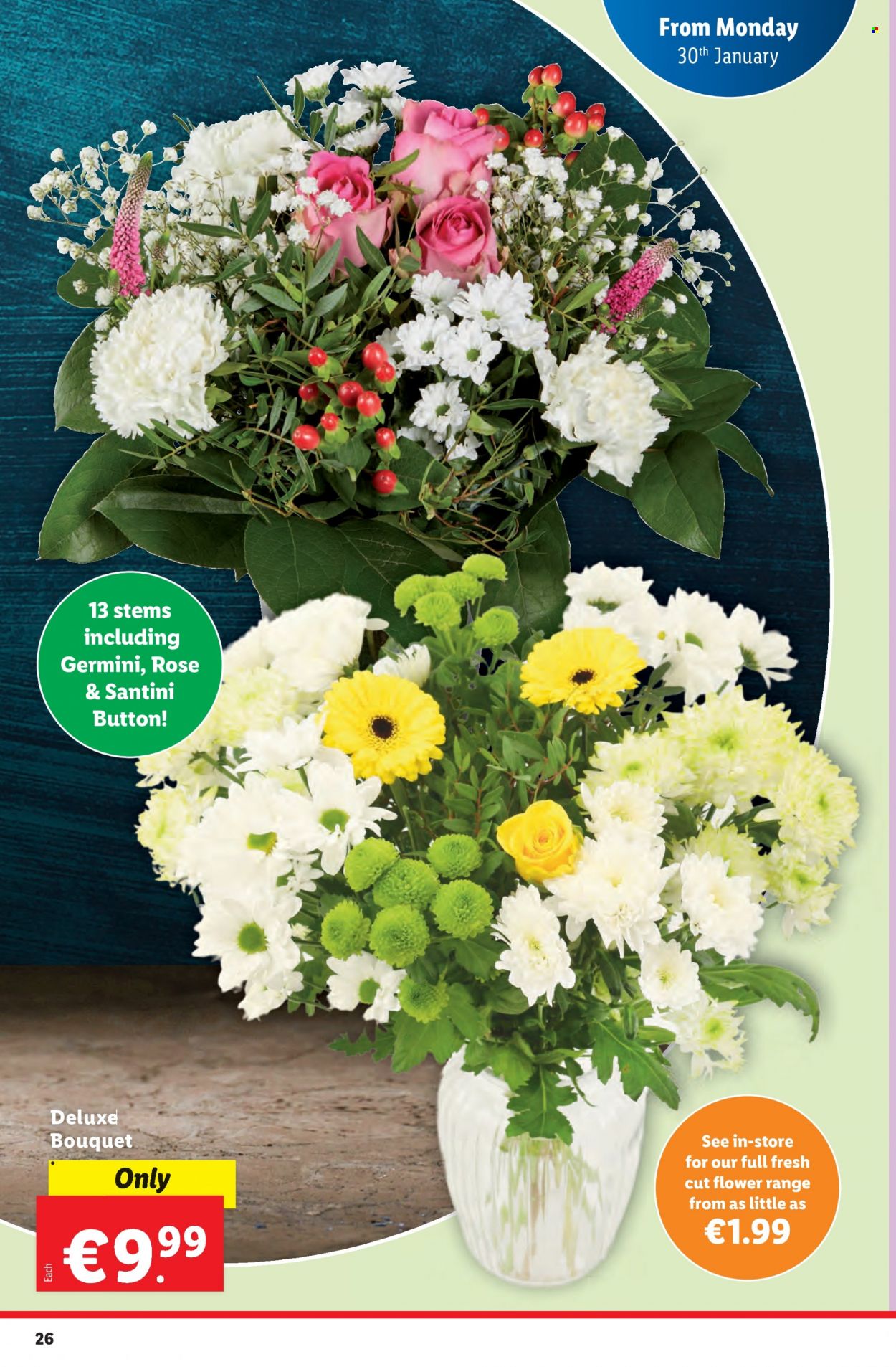 Lidl offer - 26.01.2023 - 01.02.2023. Page 26