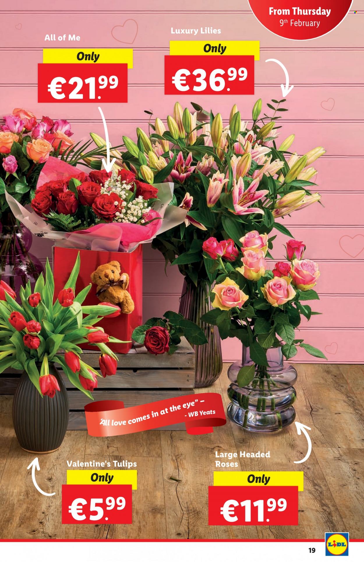 Lidl offer - 09.02.2023 - 15.02.2023. Page 19