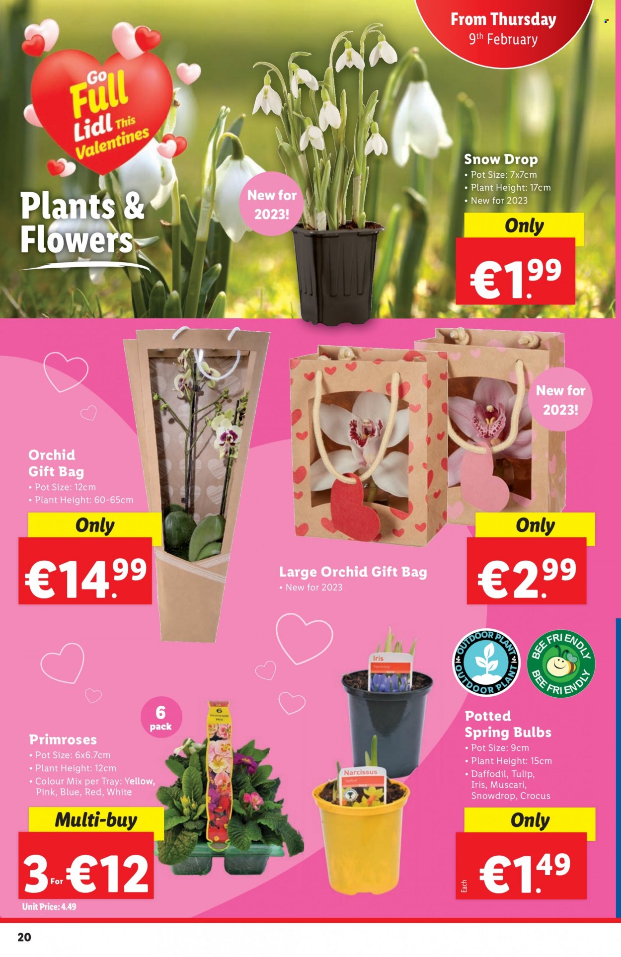 Lidl offer - 09.02.2023 - 15.02.2023. Page 20