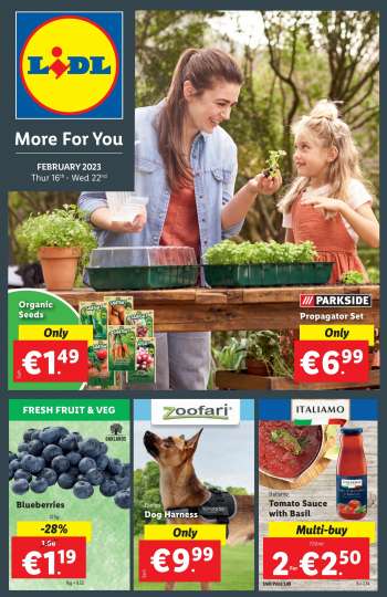Lidl offer  - 16.02.2023 - 22.02.2023.