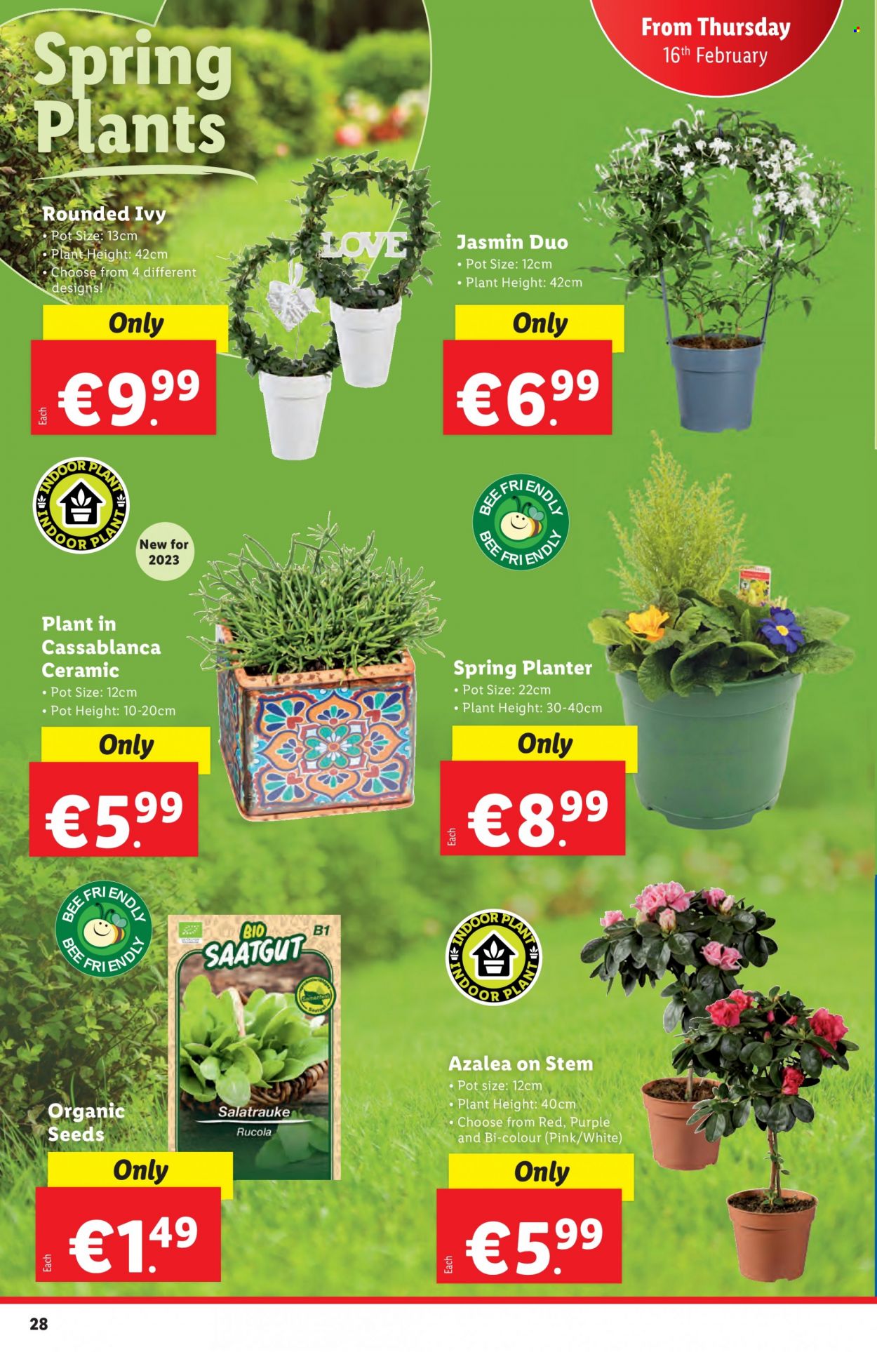 Lidl offer - 16.02.2023 - 22.02.2023. Page 28