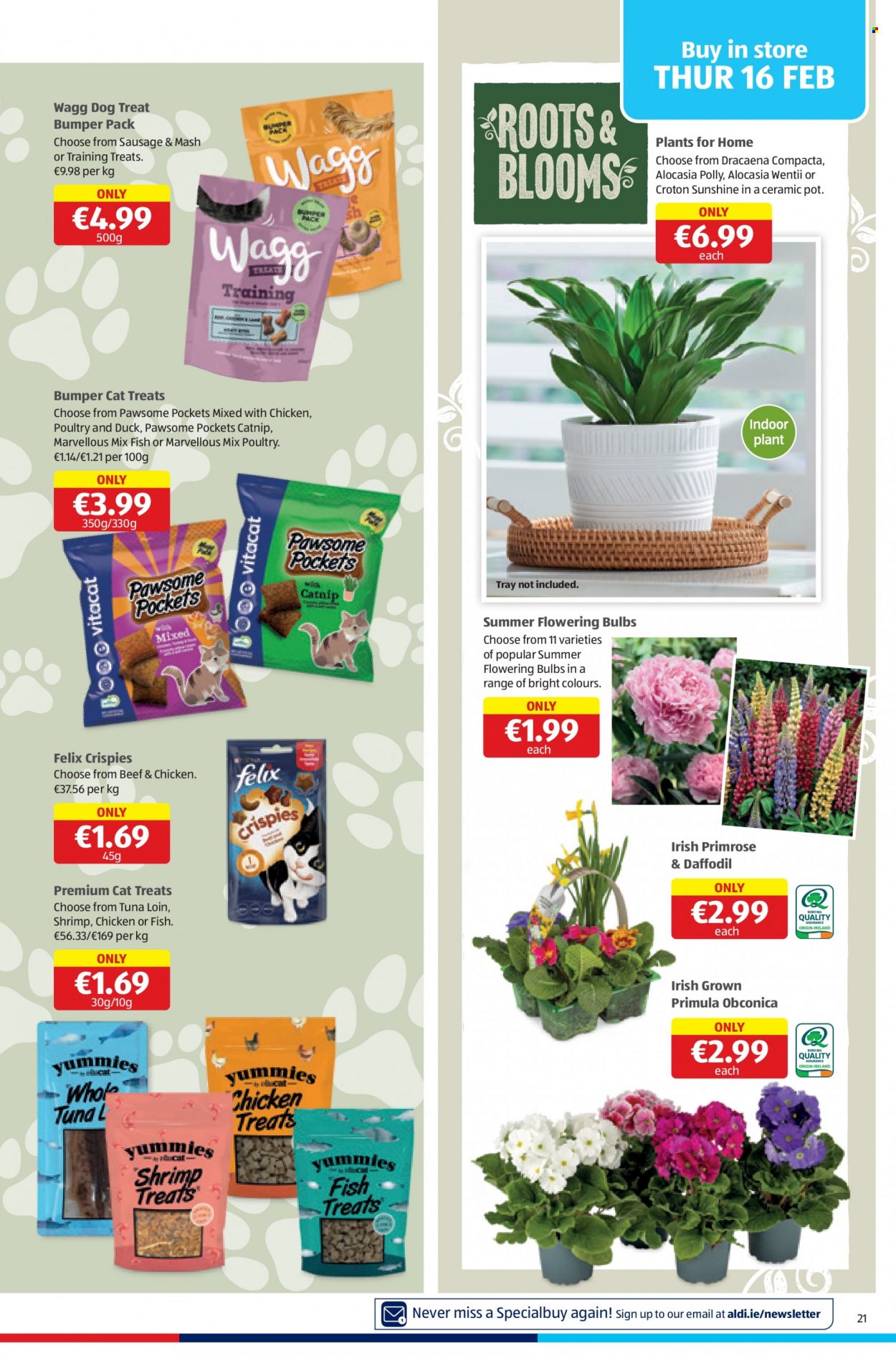 Aldi offer - 16.02.2023 - 22.02.2023. Page 21