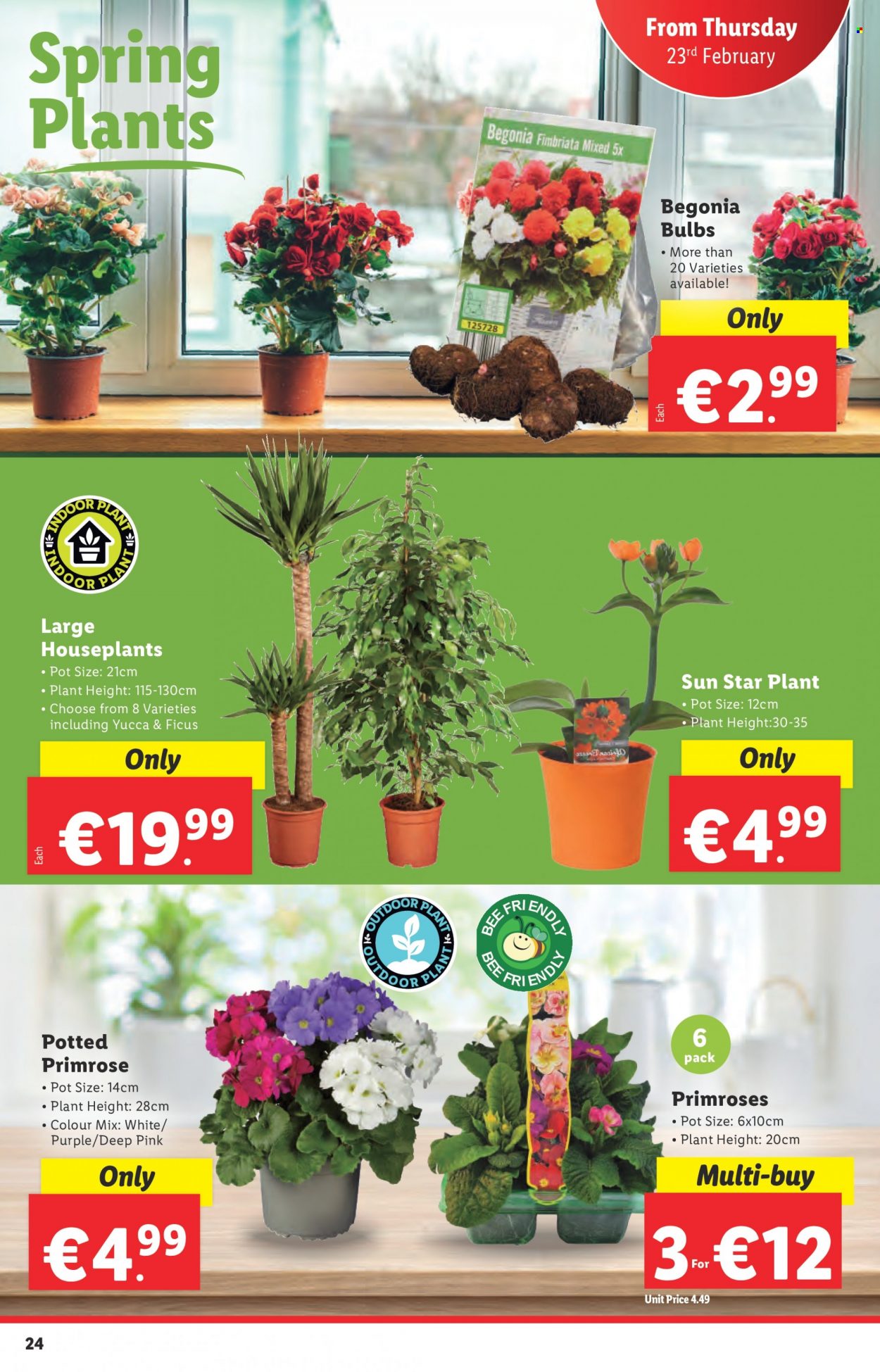 Lidl offer - 23.02.2023 - 01.03.2023. Page 24