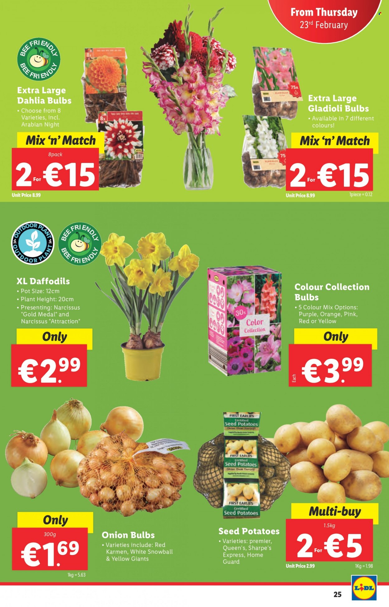 Lidl offer - 23.02.2023 - 01.03.2023. Page 25