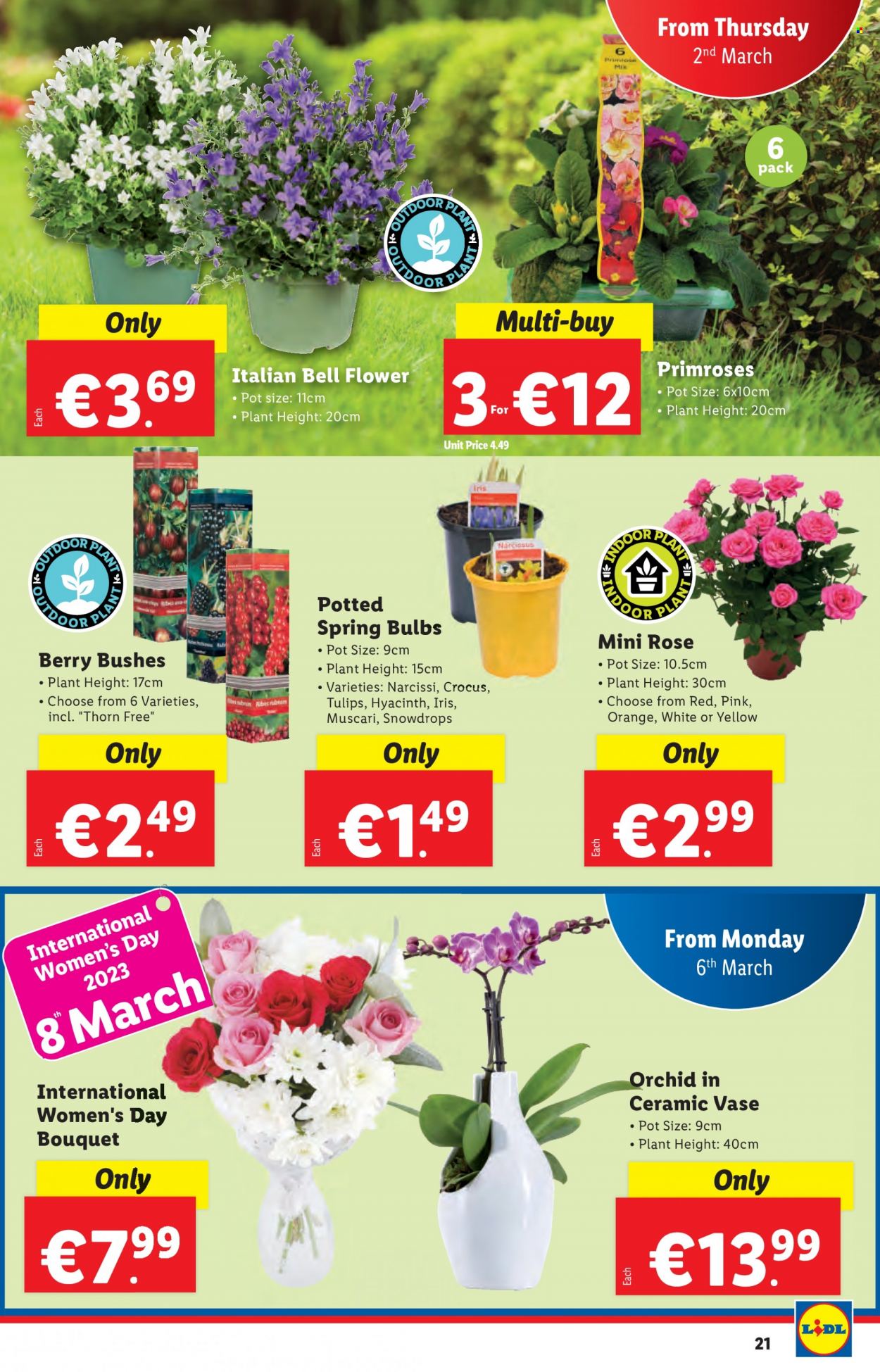 Lidl offer - 02.03.2023 - 08.03.2023. Page 21
