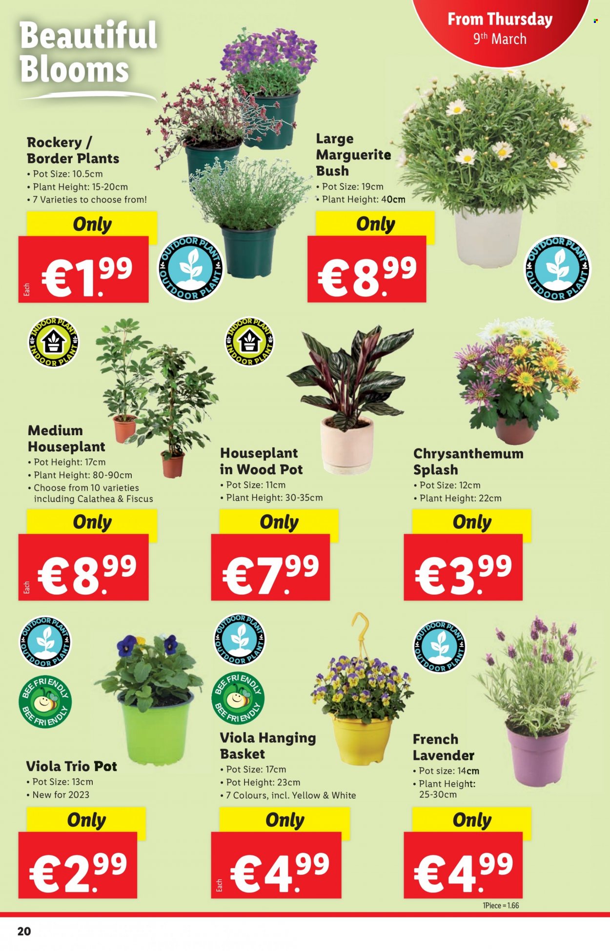 Lidl offer - 09.03.2023 - 15.03.2023. Page 20