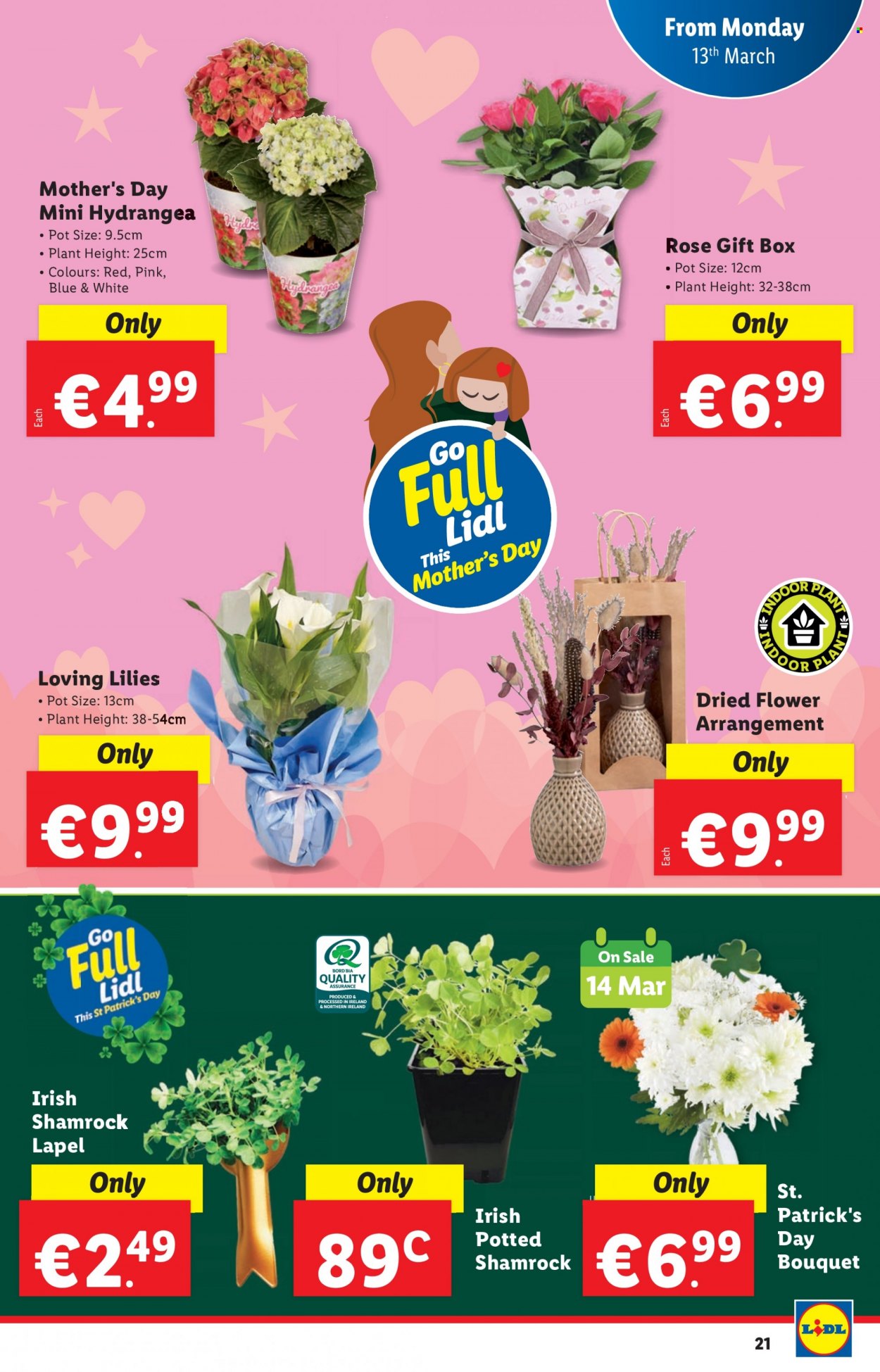 Lidl offer - 09.03.2023 - 15.03.2023. Page 21