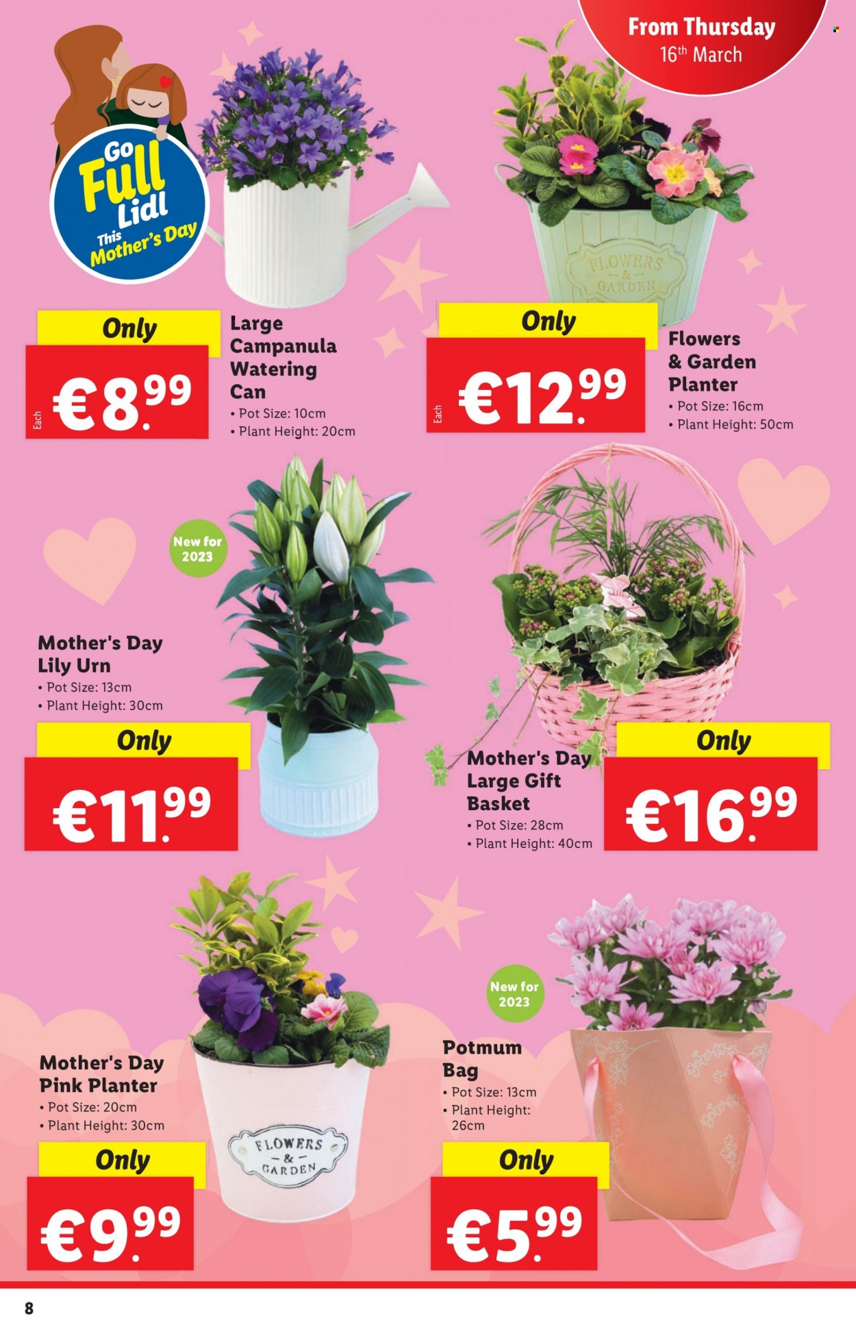 thumbnail - Lidl offer  - 16.03.2023 - 22.03.2023 - Sales products - bag, basket, pot, watering can, Campanula, flowers. Page 8.