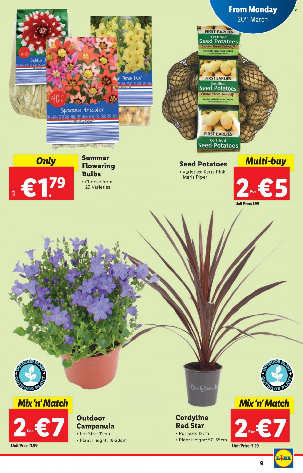 Lidl offer - 16.03.2023 - 22.03.2023. Page 9