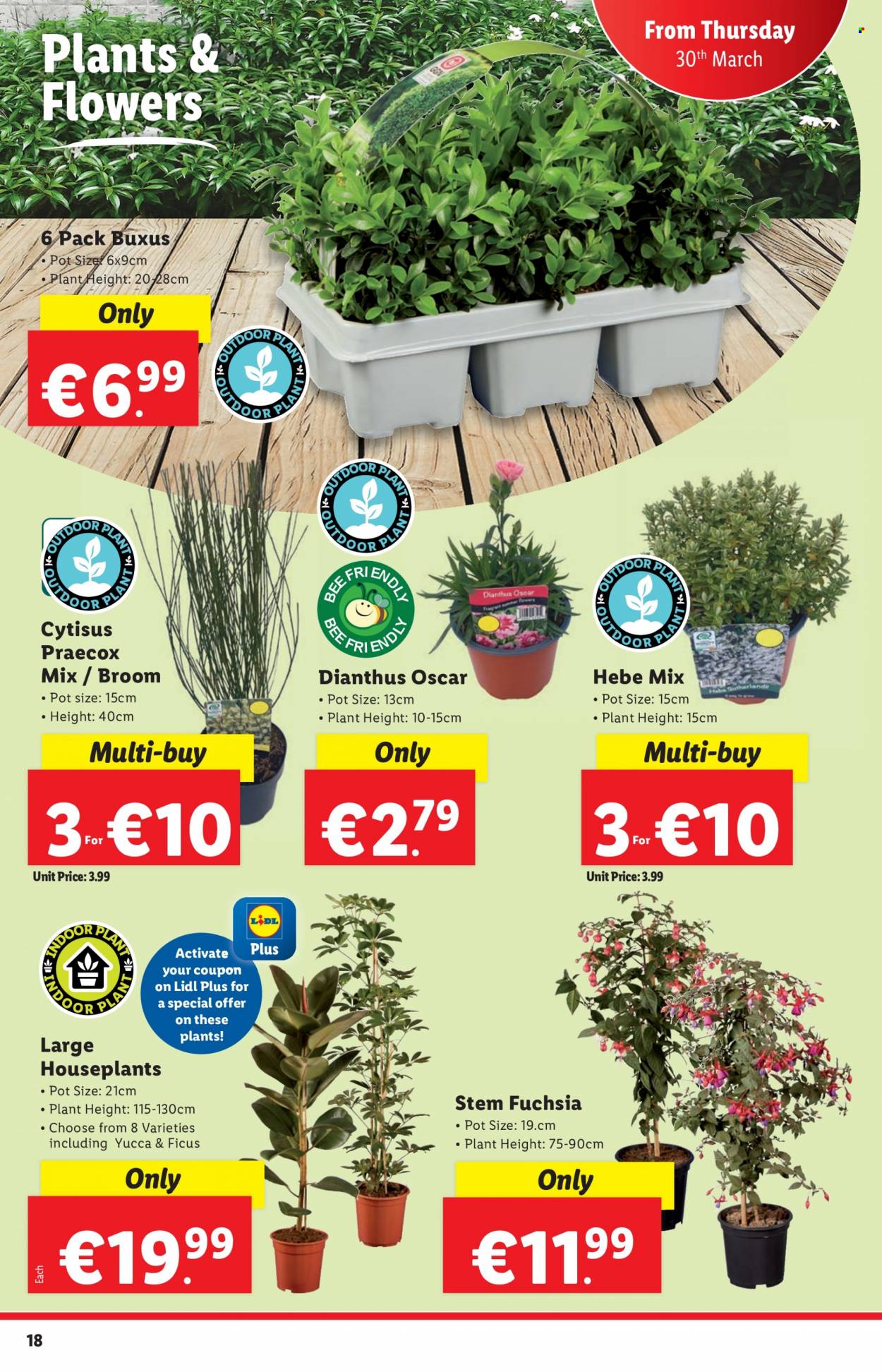 Lidl offer - 30.03.2023 - 05.04.2023. Page 18