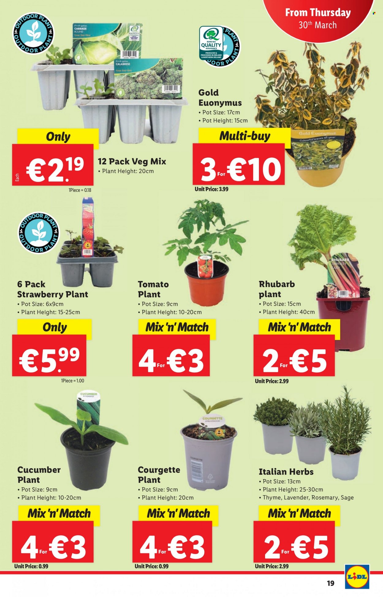 Lidl offer - 30.03.2023 - 05.04.2023. Page 19