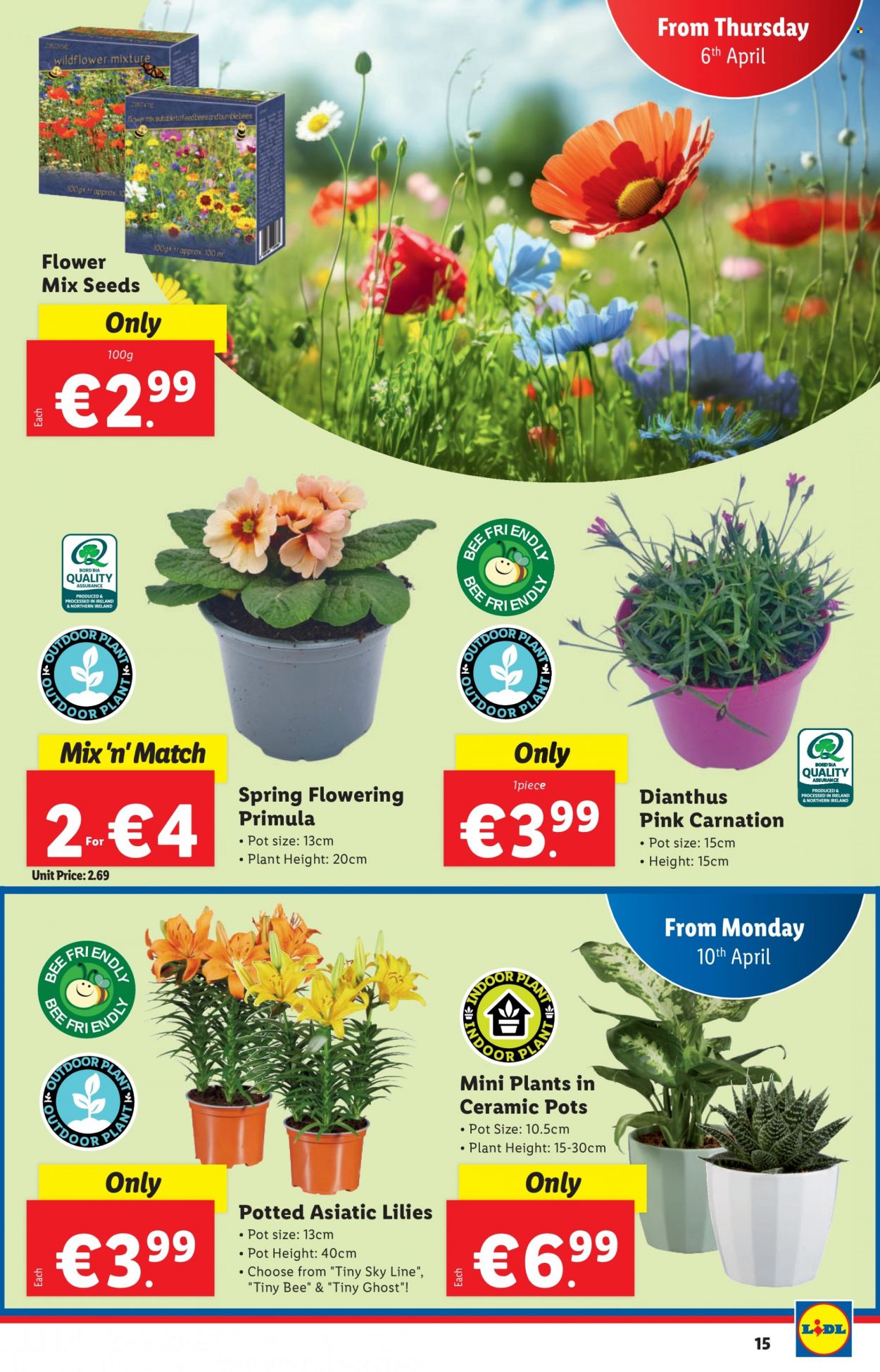Lidl offer - 06.04.2023 - 12.04.2023. Page 15