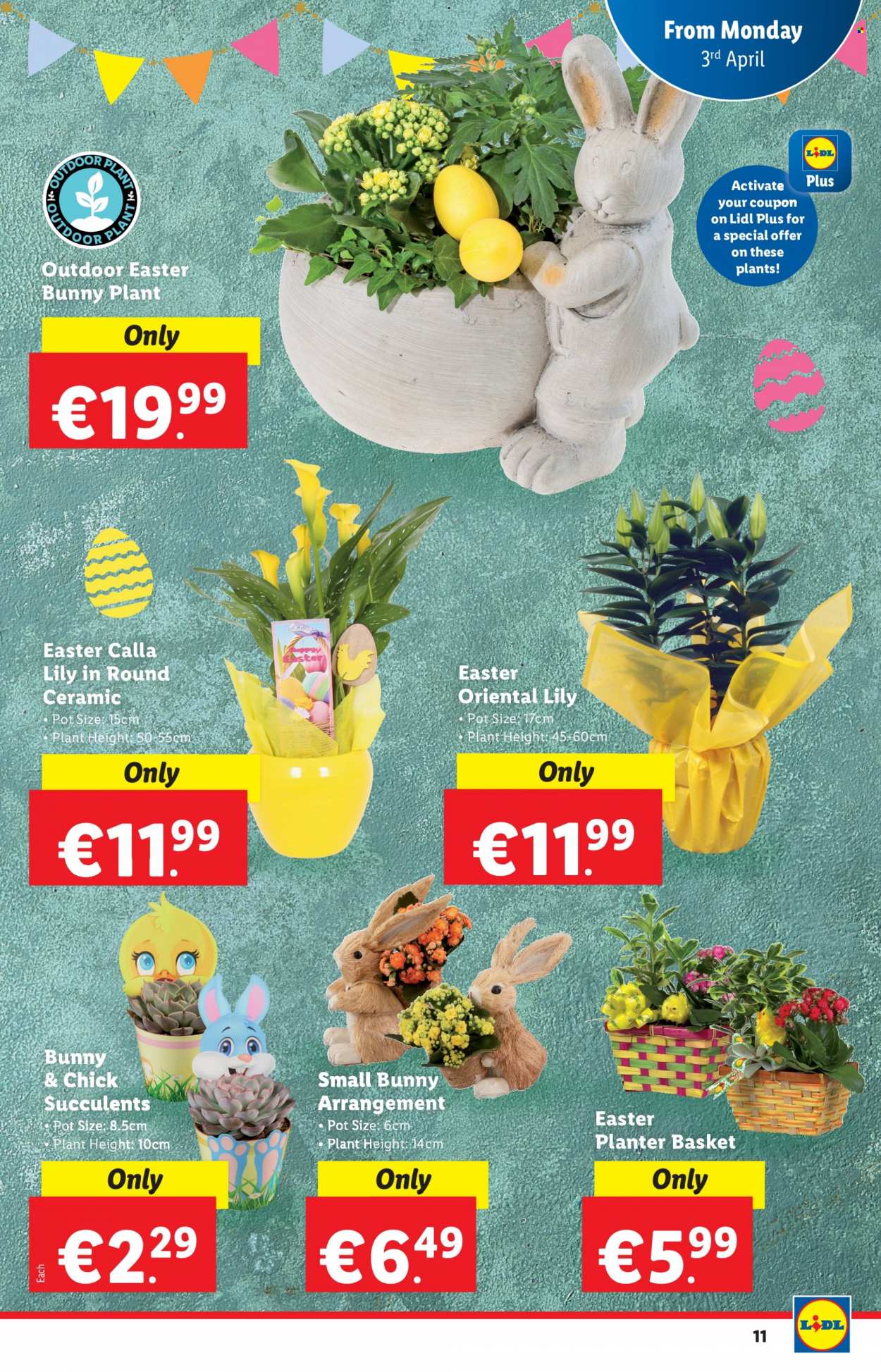 thumbnail - Lidl offer  - Sales products - easter bunny, basket, pot, succulent, lily, plant pot. Page 11.